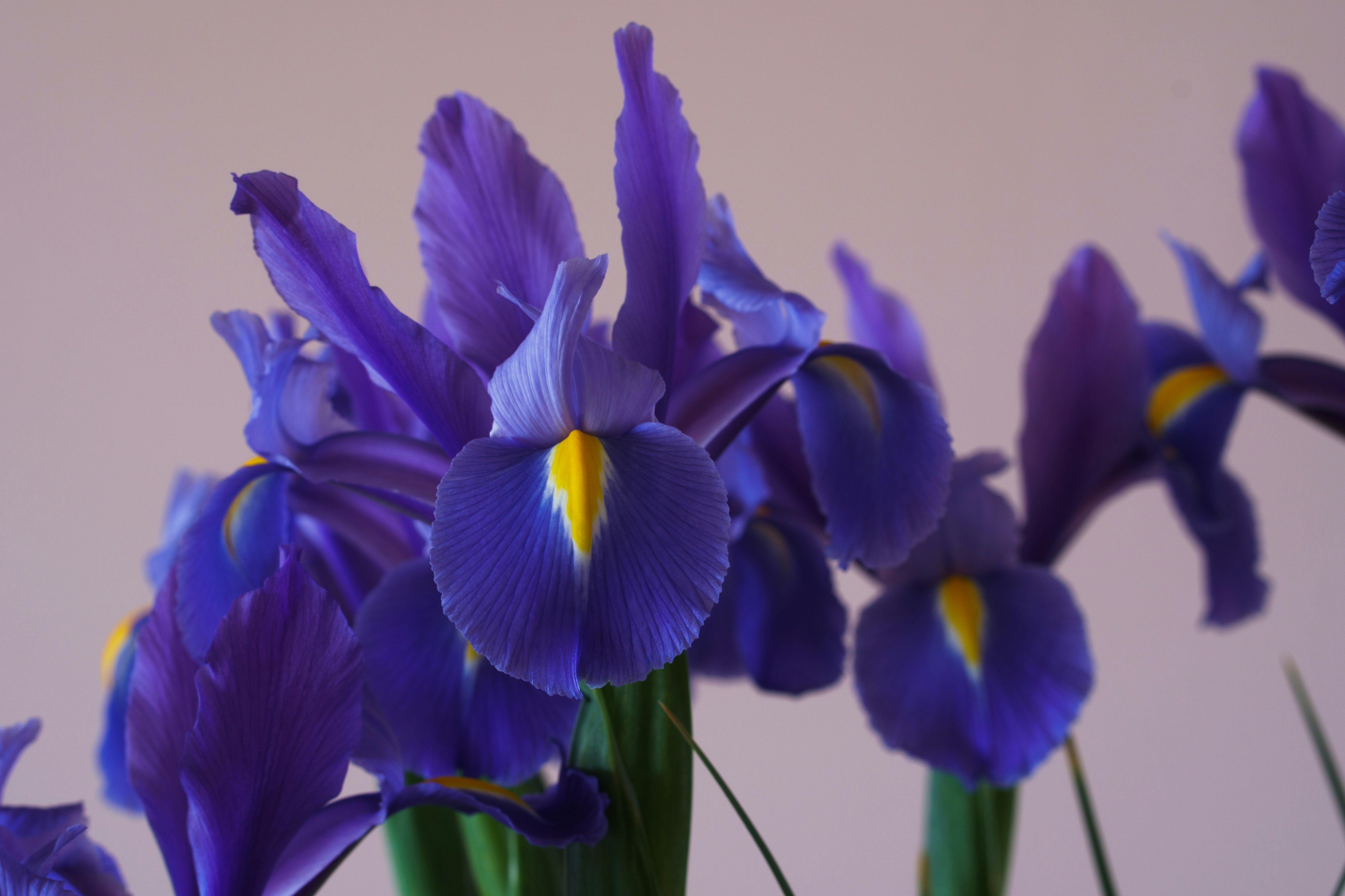 Photo by earl_plannerzone