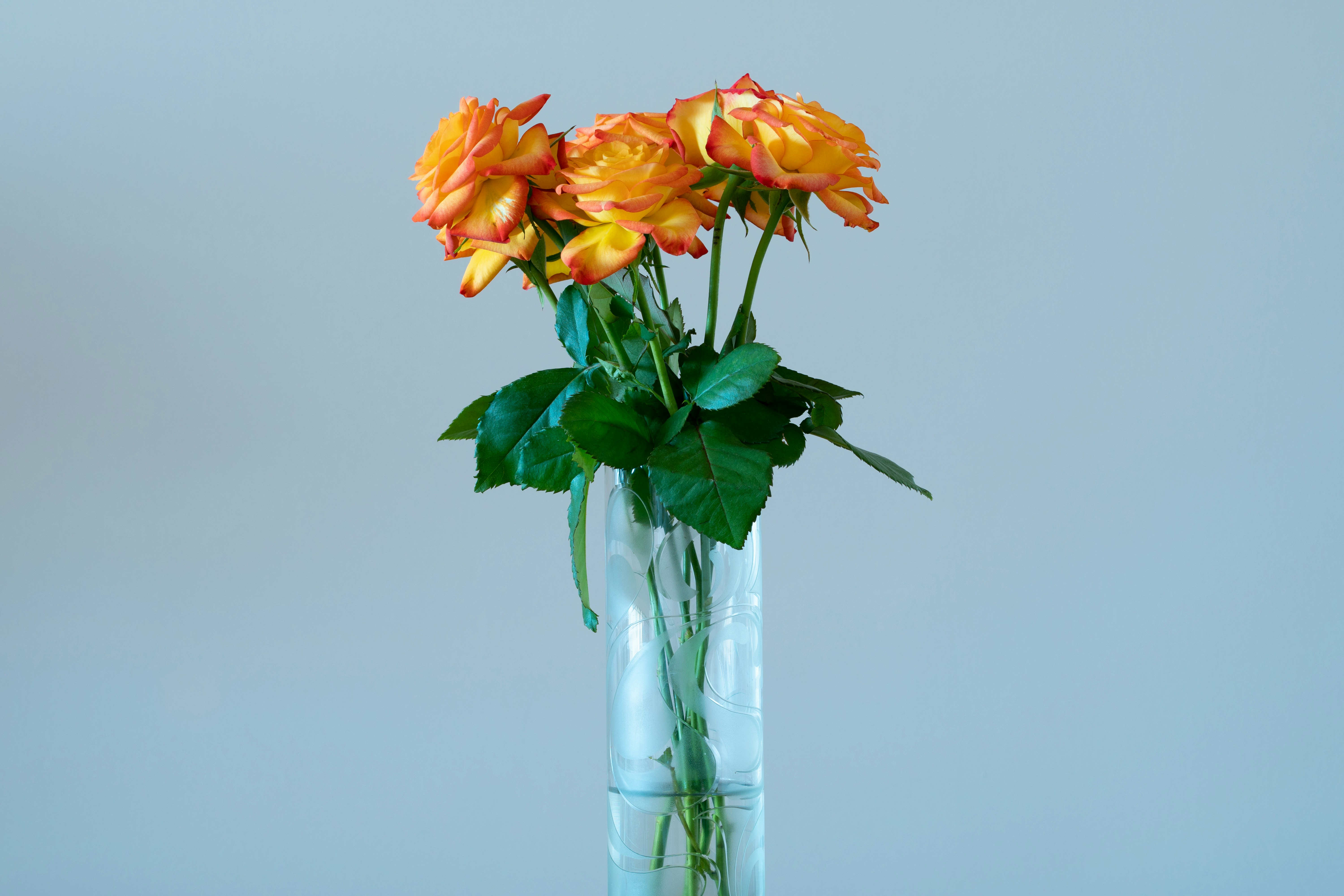 Photo by earl_plannerzone