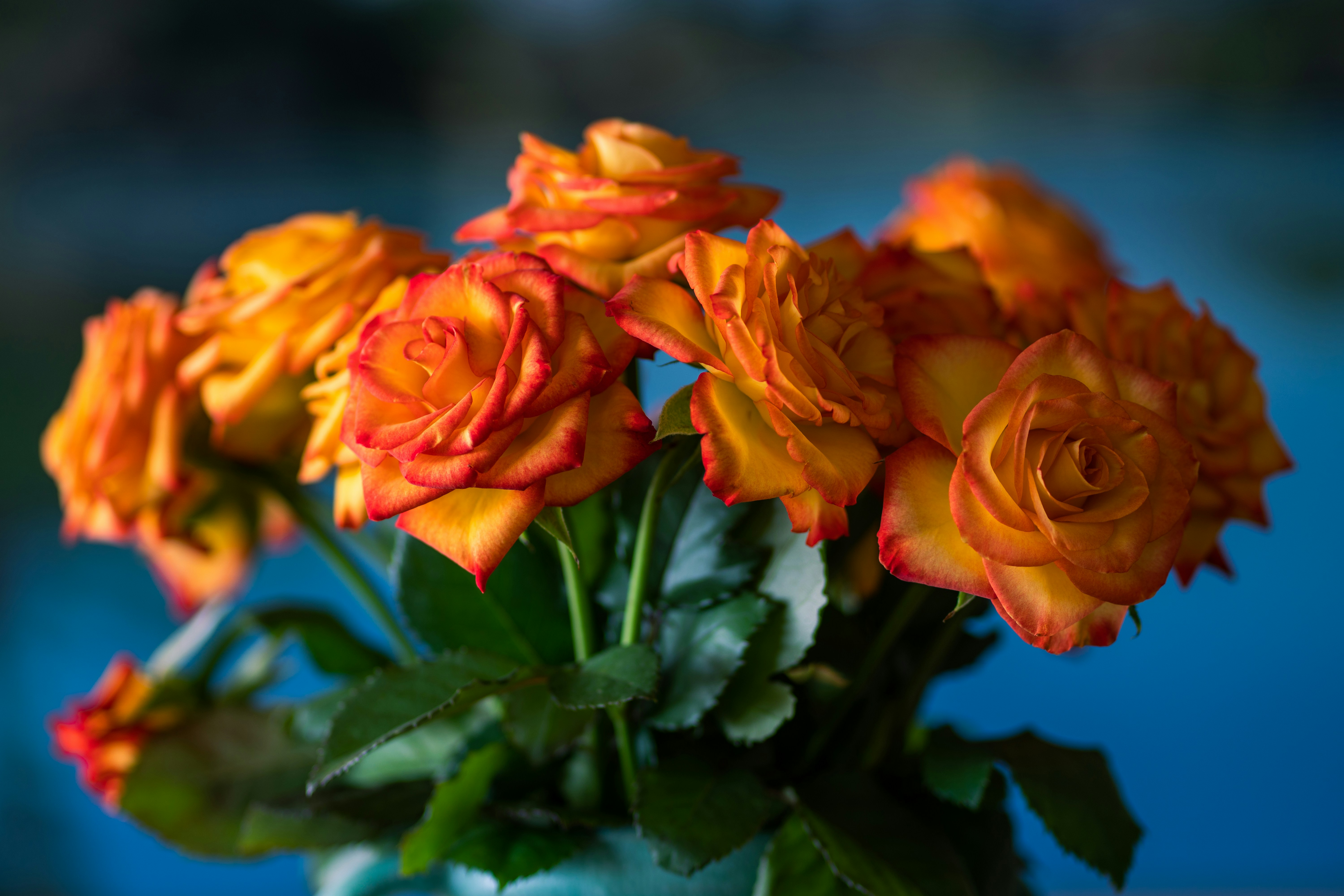 Photo by earl_plannerzone