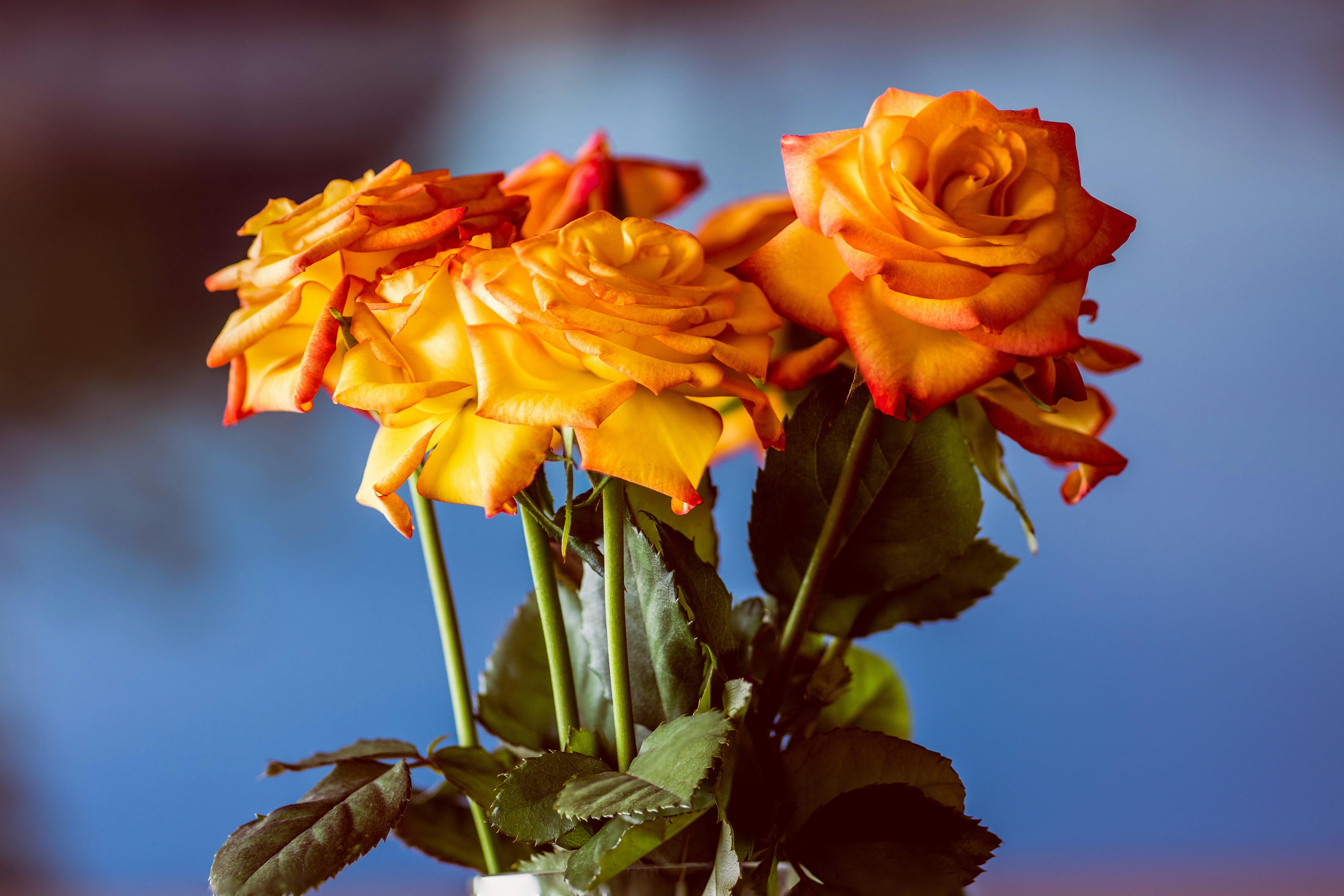 Photo by earl_plannerzone