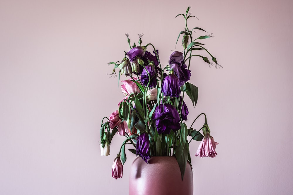 a pink vase filled with purple flowers against a pink wall