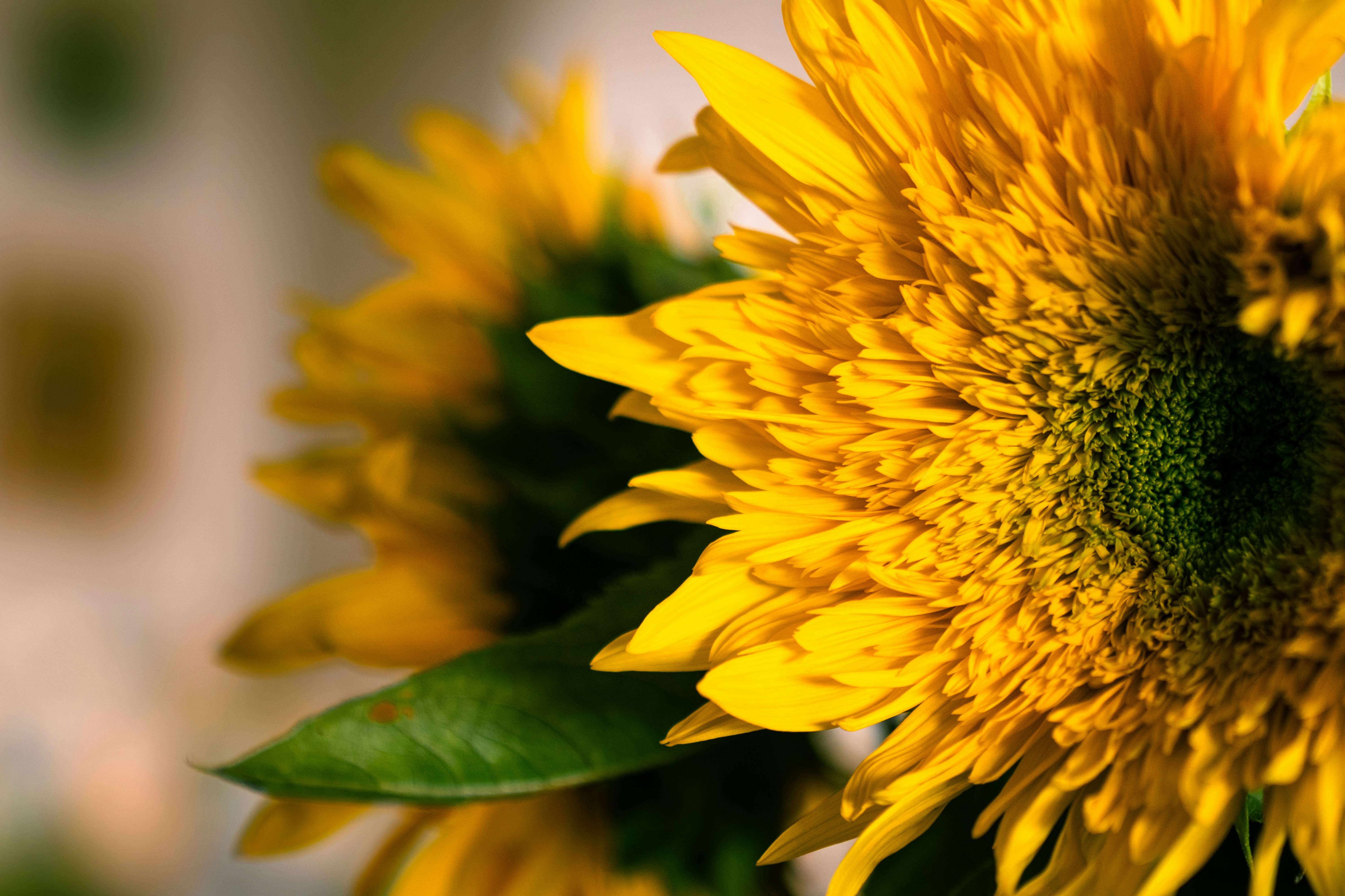 Photo by earl_plannerzone