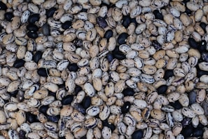 Urad dal arranged in a bowl, highlighting its black and white speckled texture.