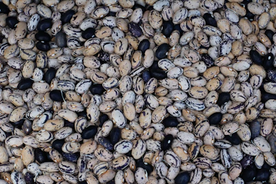 Close-up of assorted canned beans neatly arranged, showcasing vibrant labels and varied packaging sizes.
