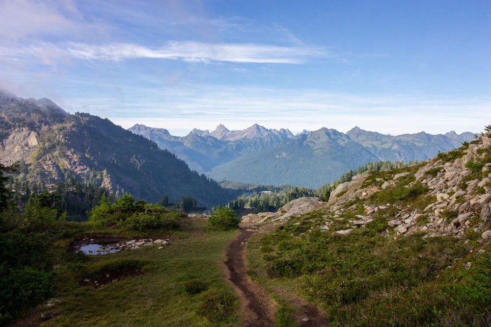 a dirt path in the middle of a grassy field