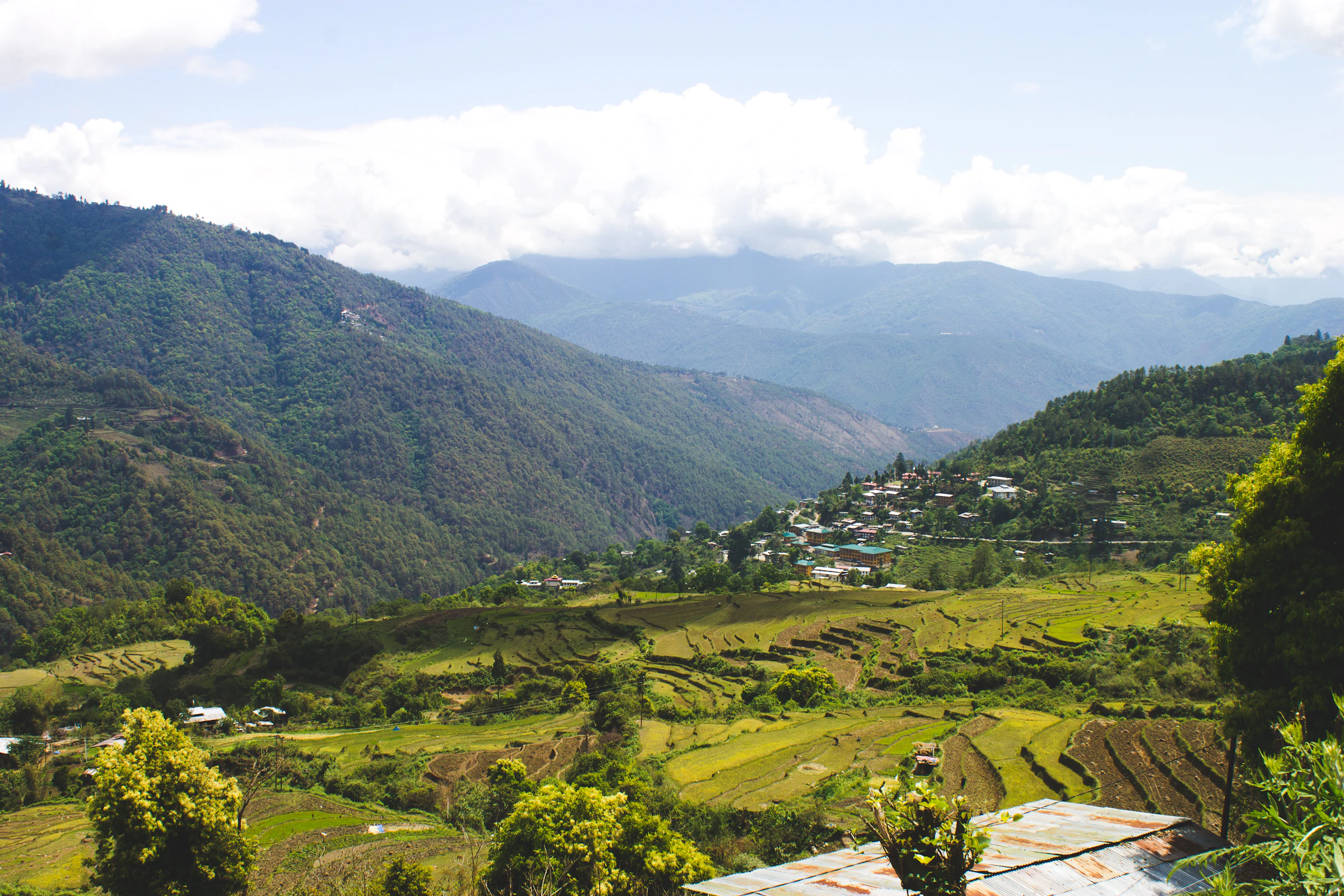 Lush green valley, Bhutan