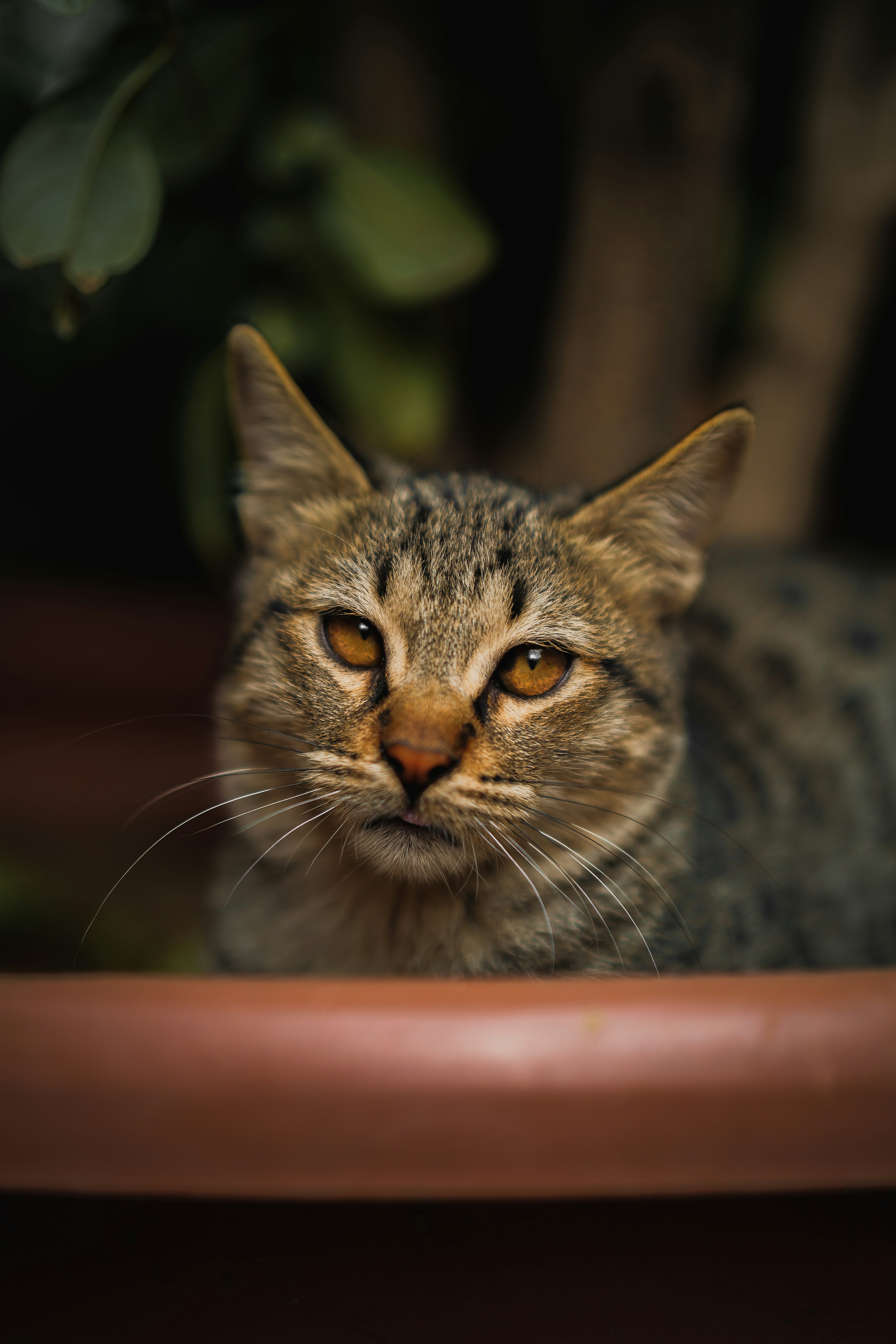 Photo by kiarash_mansouri