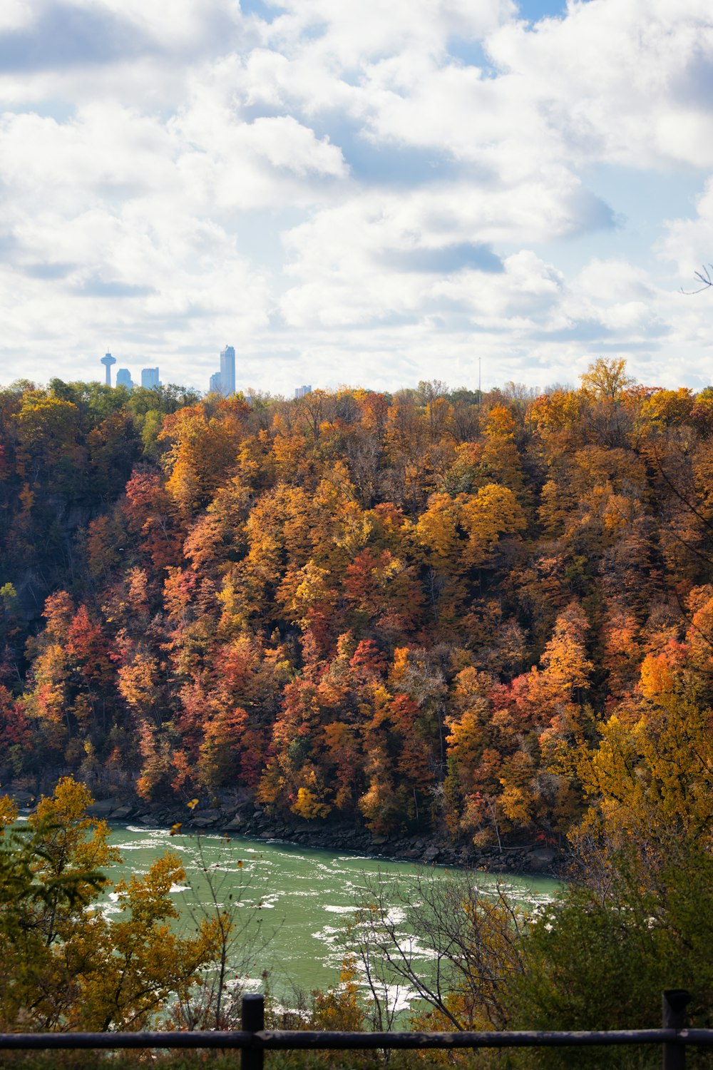 a scenic view of a river surrounded by trees