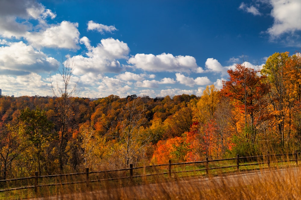 a field with a fence and trees in the background