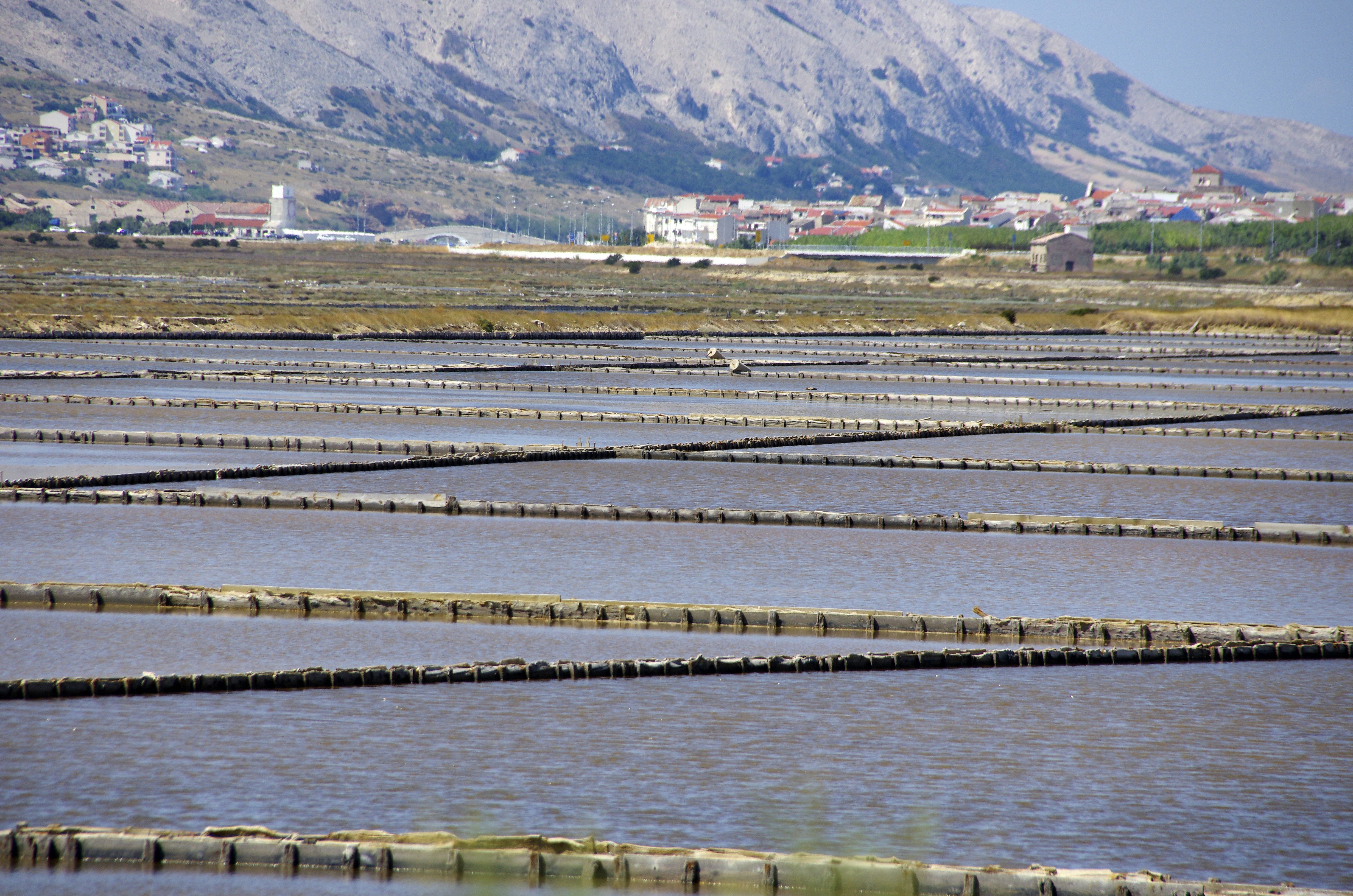 Large water body farming