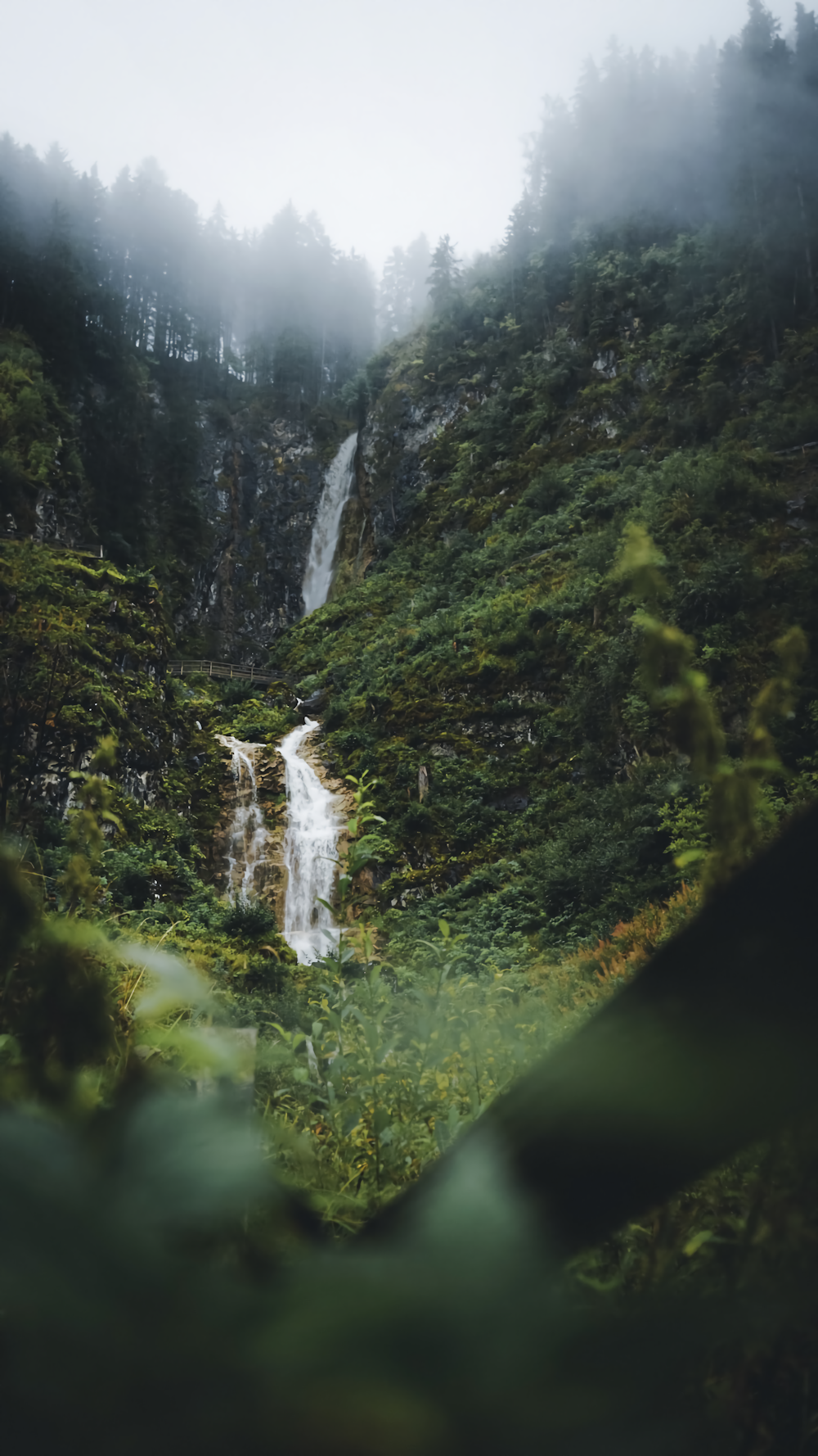 a waterfall in the middle of a lush green forest