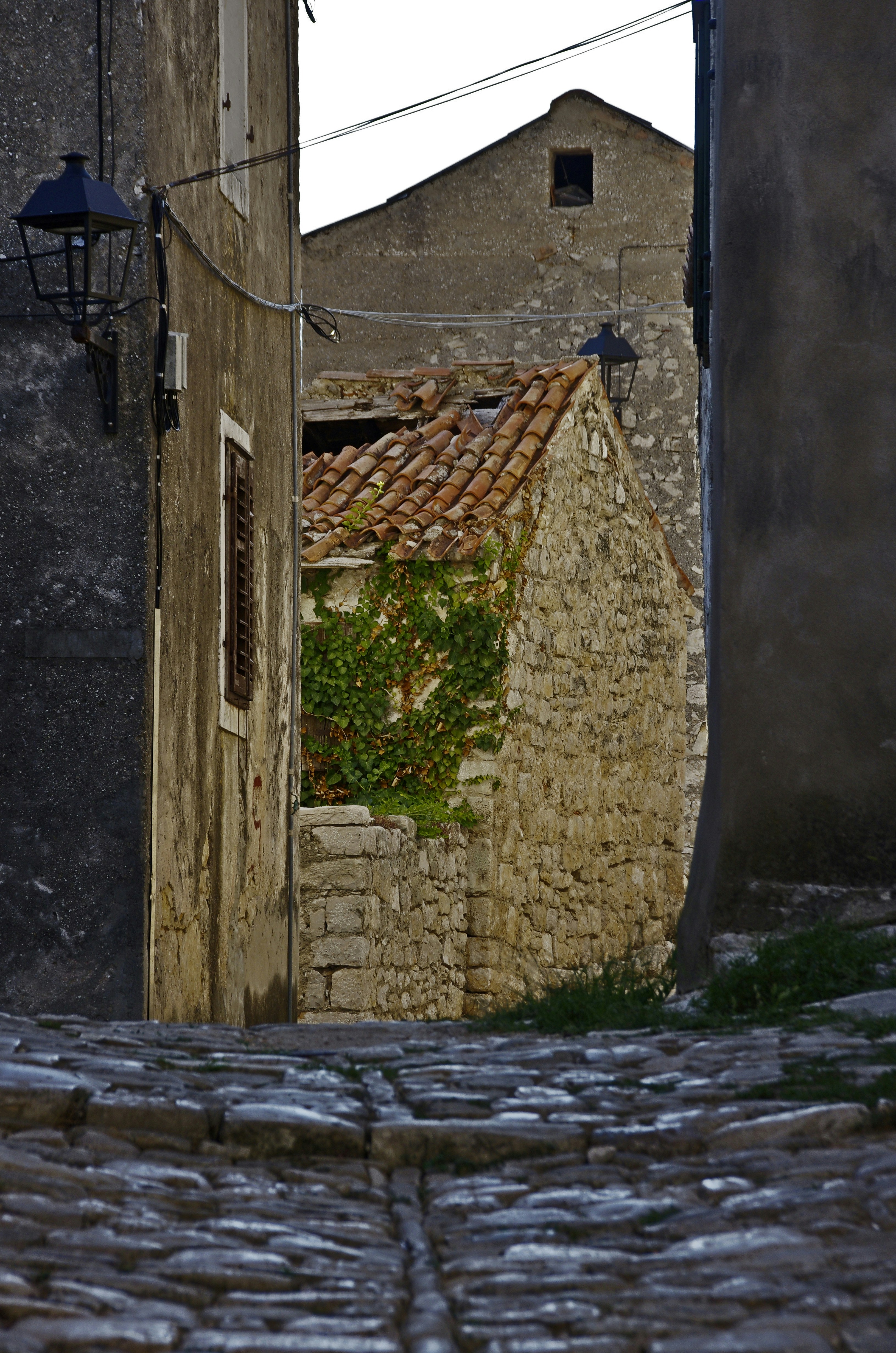 Photo by lotharborispiltz