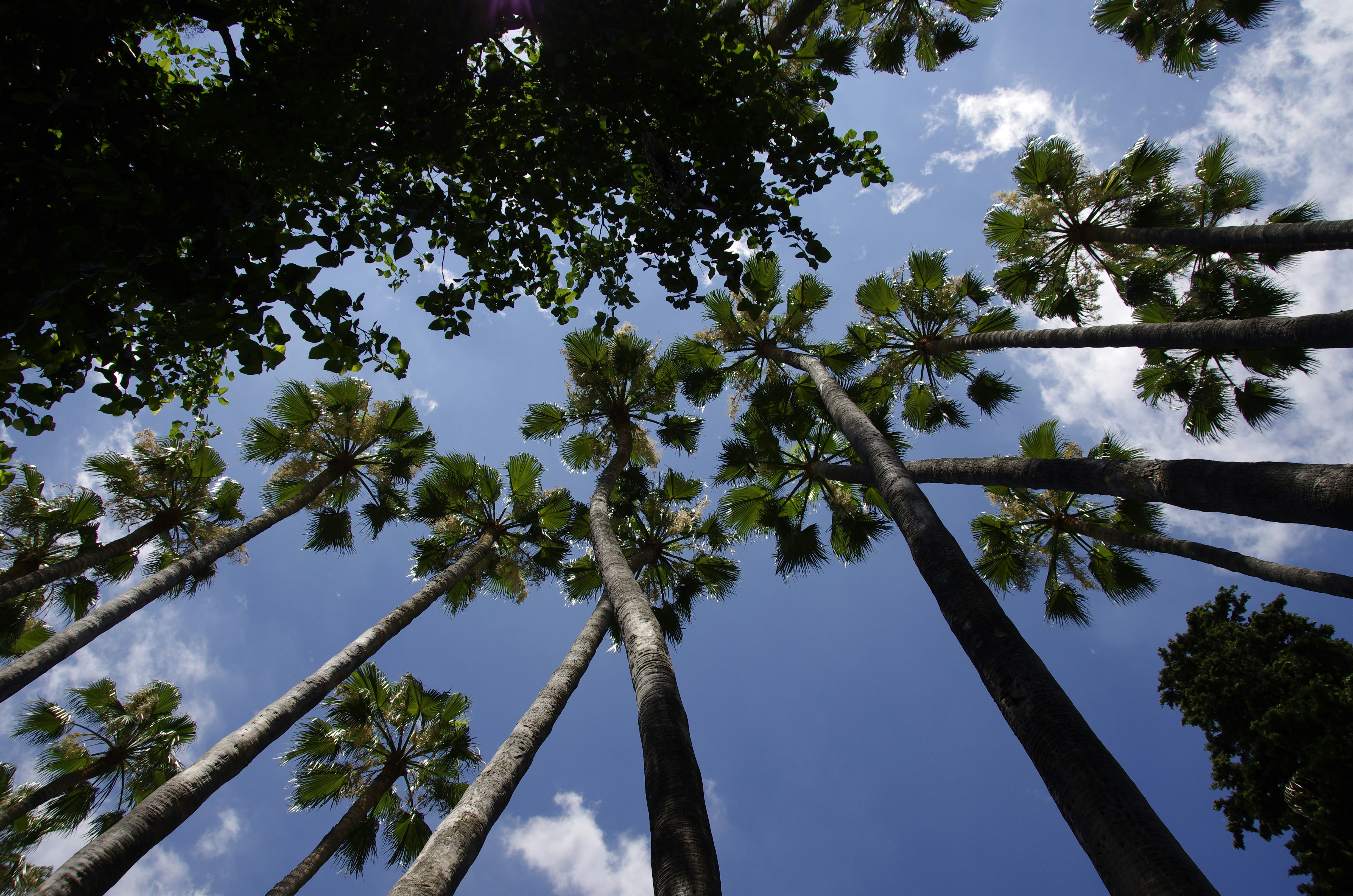 Photo by lotharborispiltz