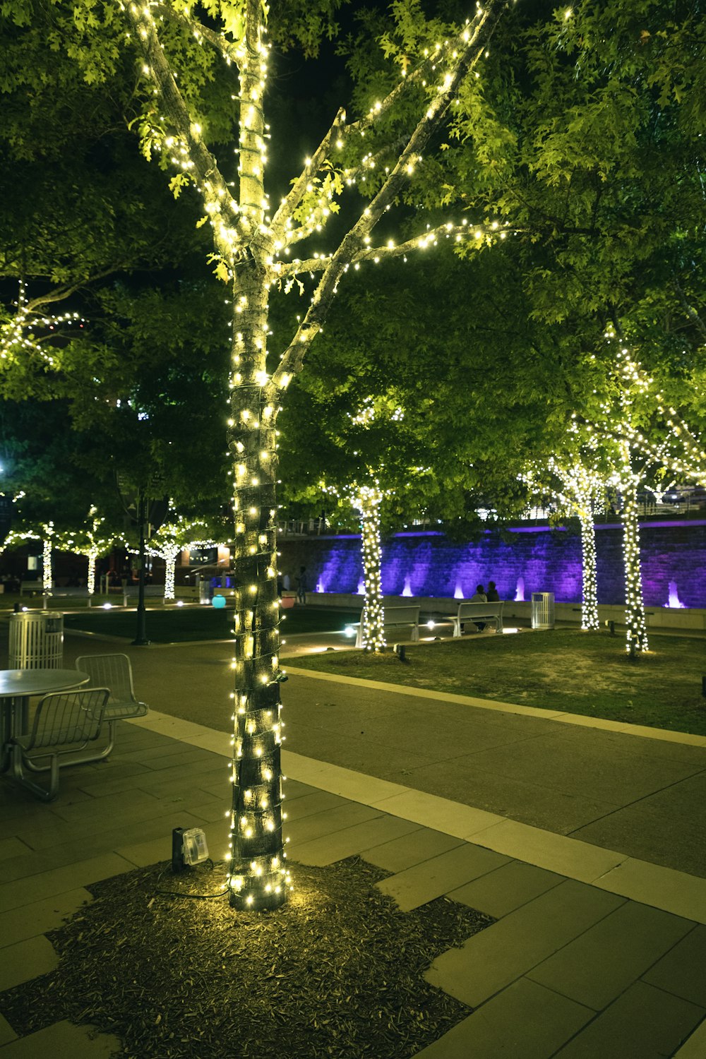 a lighted tree in the middle of a park