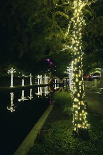 a lighted tree next to a body of water