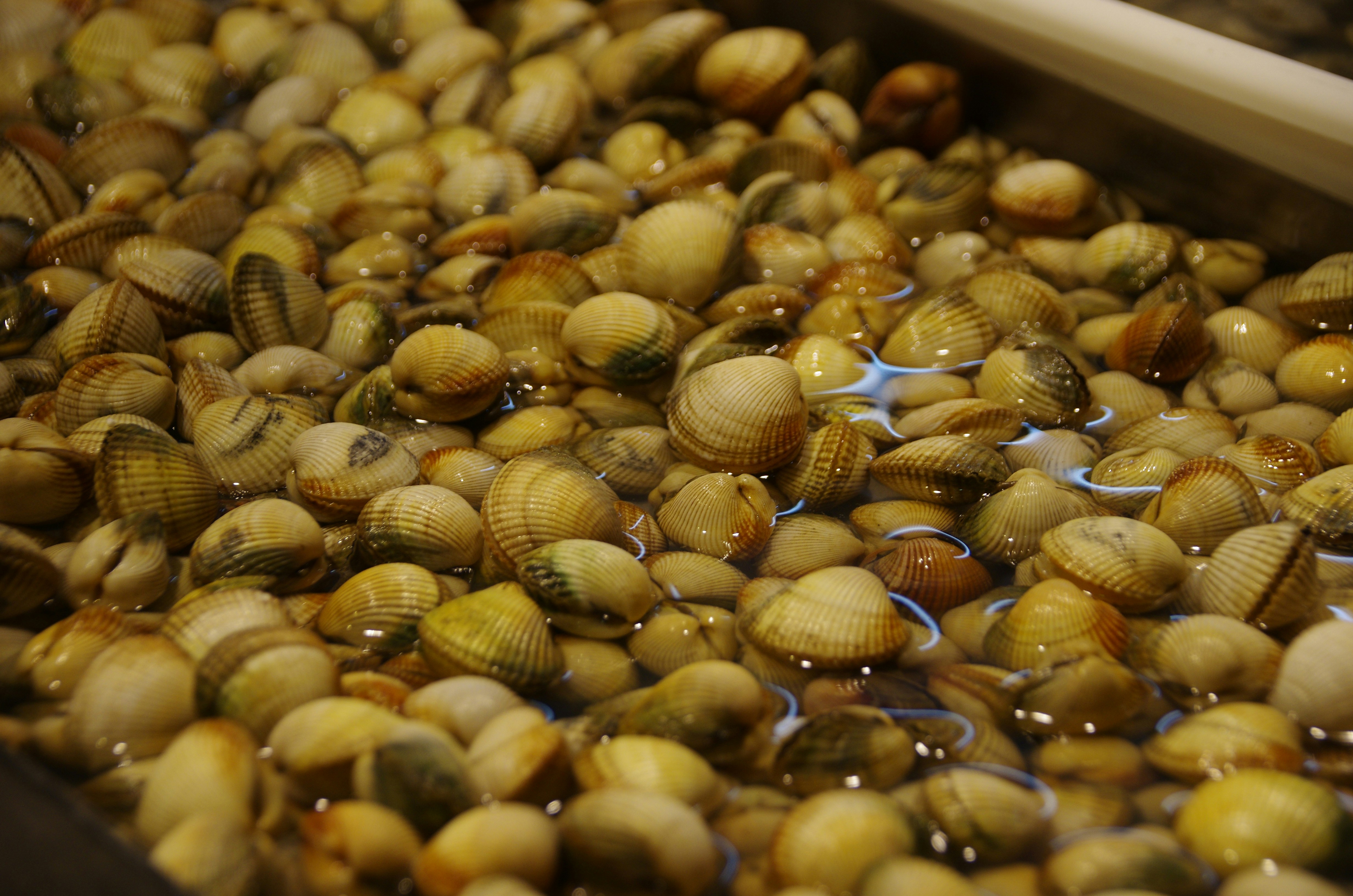 Photo by lotharborispiltz