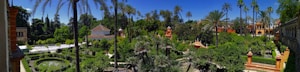 A lush garden with a variety of palm trees and greenery, featuring neatly trimmed hedges and vibrant landscaping. Historic buildings and ornate architecture are visible in the background, adding a historic charm. The clear blue sky suggests a bright and sunny day.