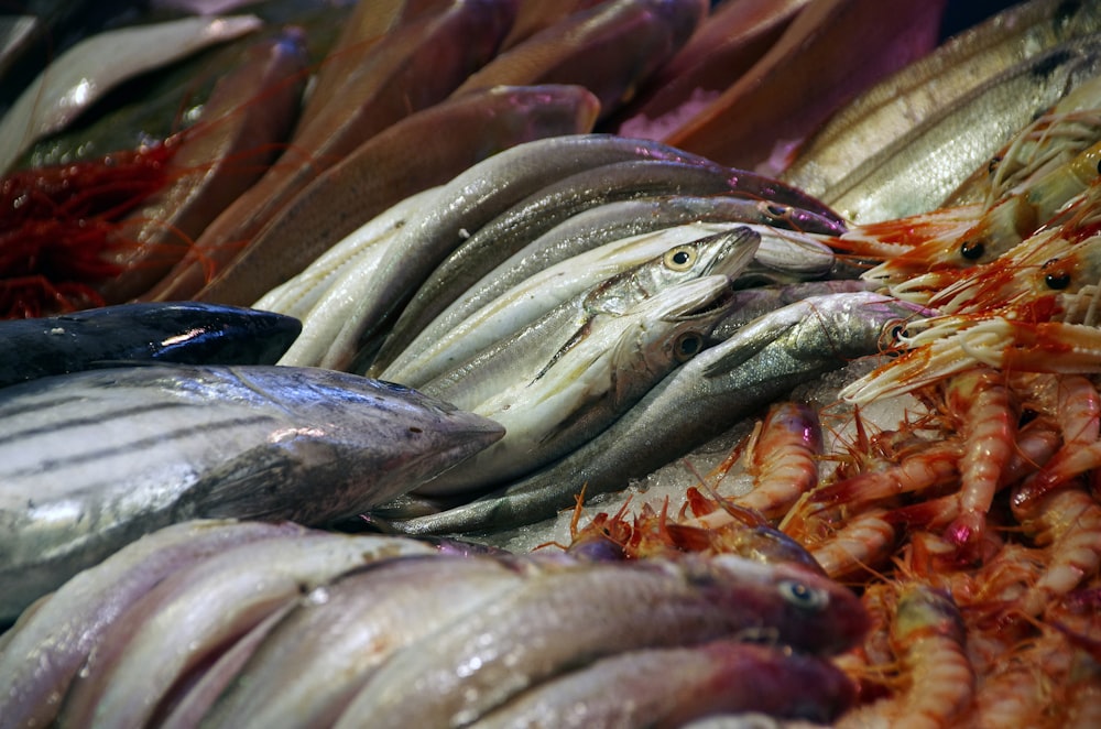 a bunch of fish that are on some kind of table