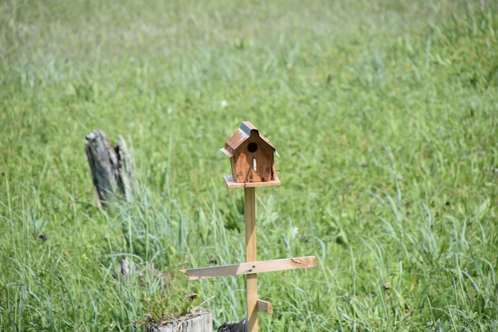 a bird house on a wooden post in a field