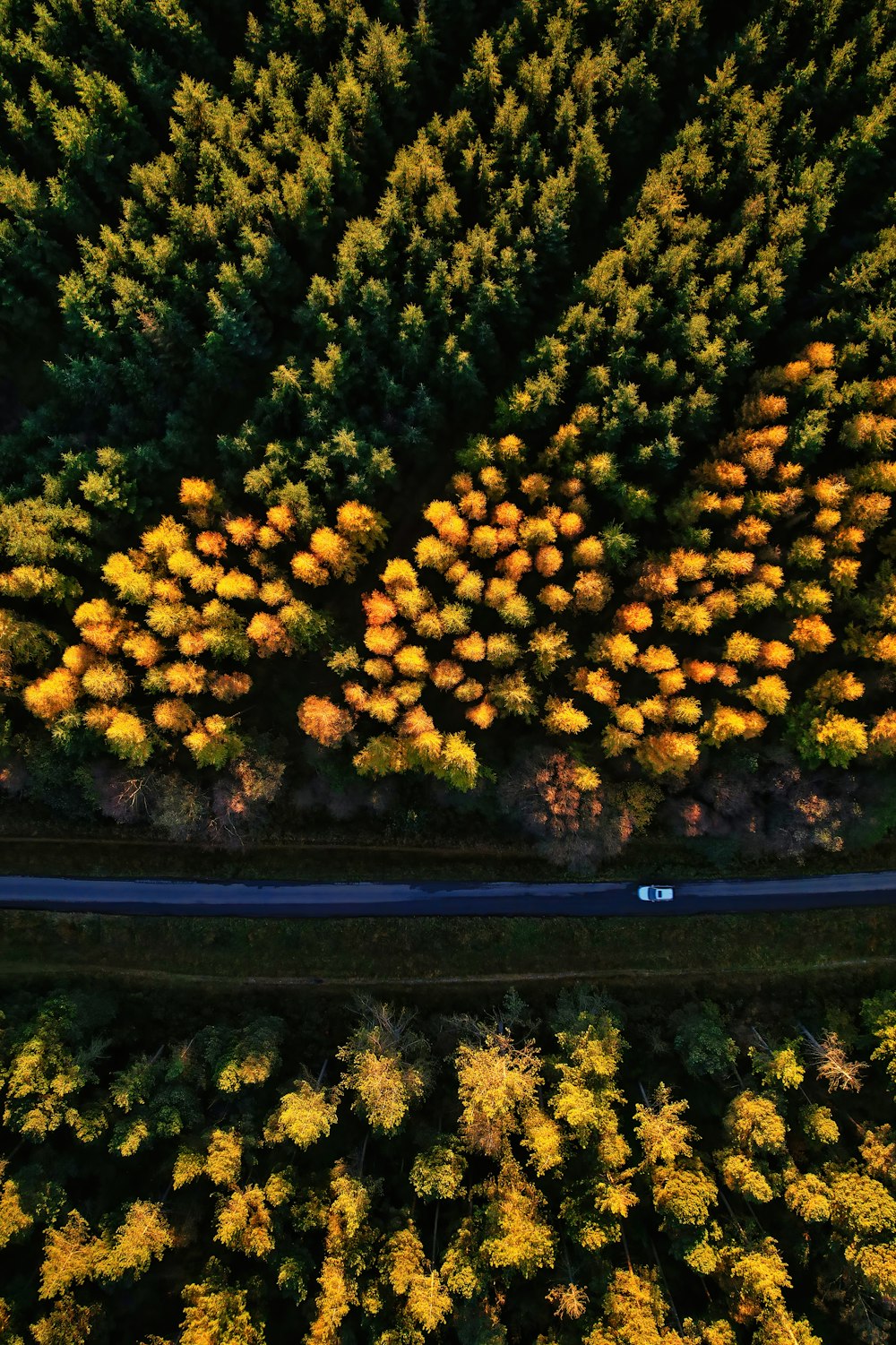 an aerial view of a road surrounded by trees