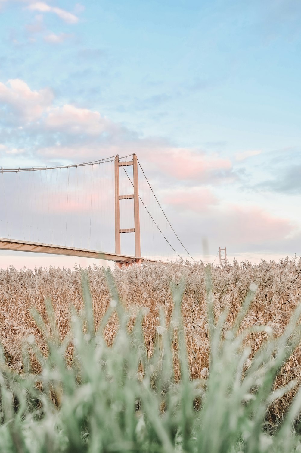uma vista de uma ponte de um campo de milho