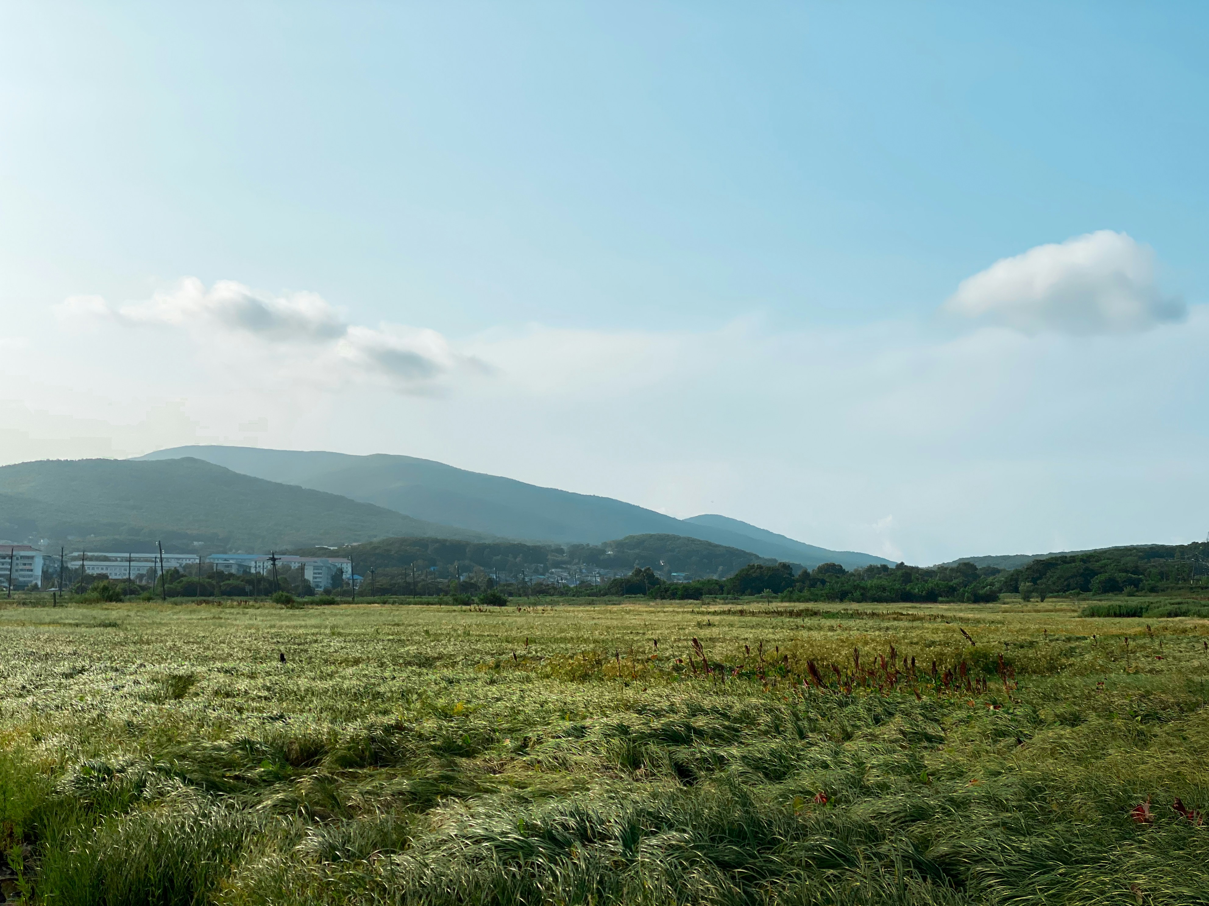 a grassy field with mountains in the background