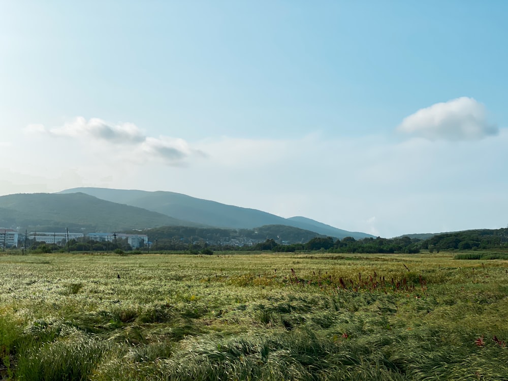 a grassy field with mountains in the background