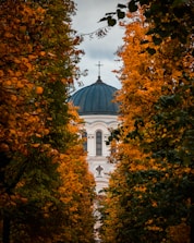 a white building with a blue dome surrounded by trees