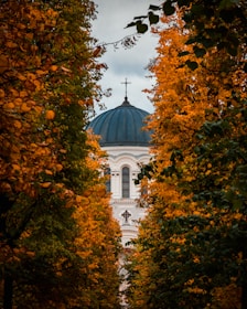 a white building with a blue dome surrounded by trees