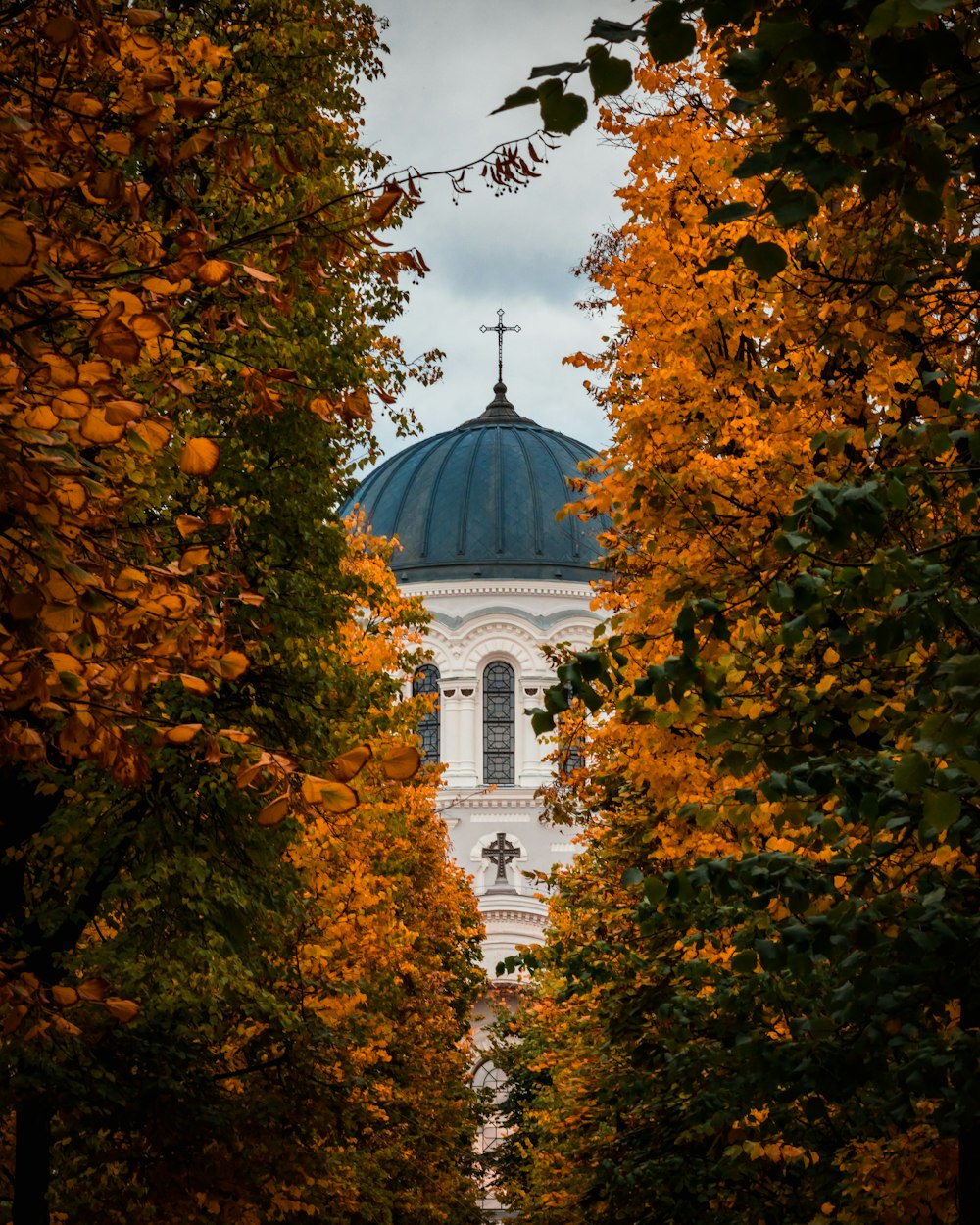 a white building with a blue dome surrounded by trees