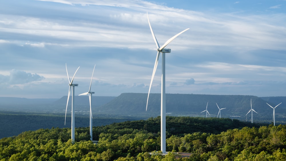 um grupo de turbinas eólicas no topo de uma encosta verde exuberante