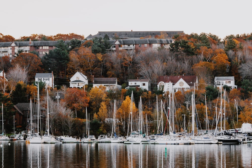 a bunch of boats that are in the water