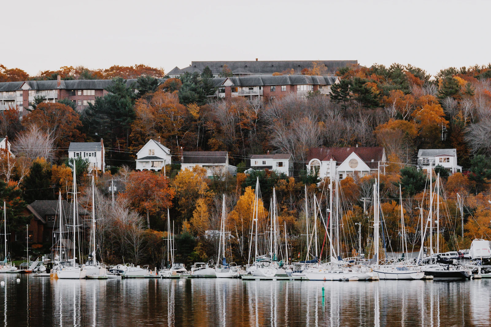 Boats docked along the Northwest Arm in Halifax, social media management services in Halifax