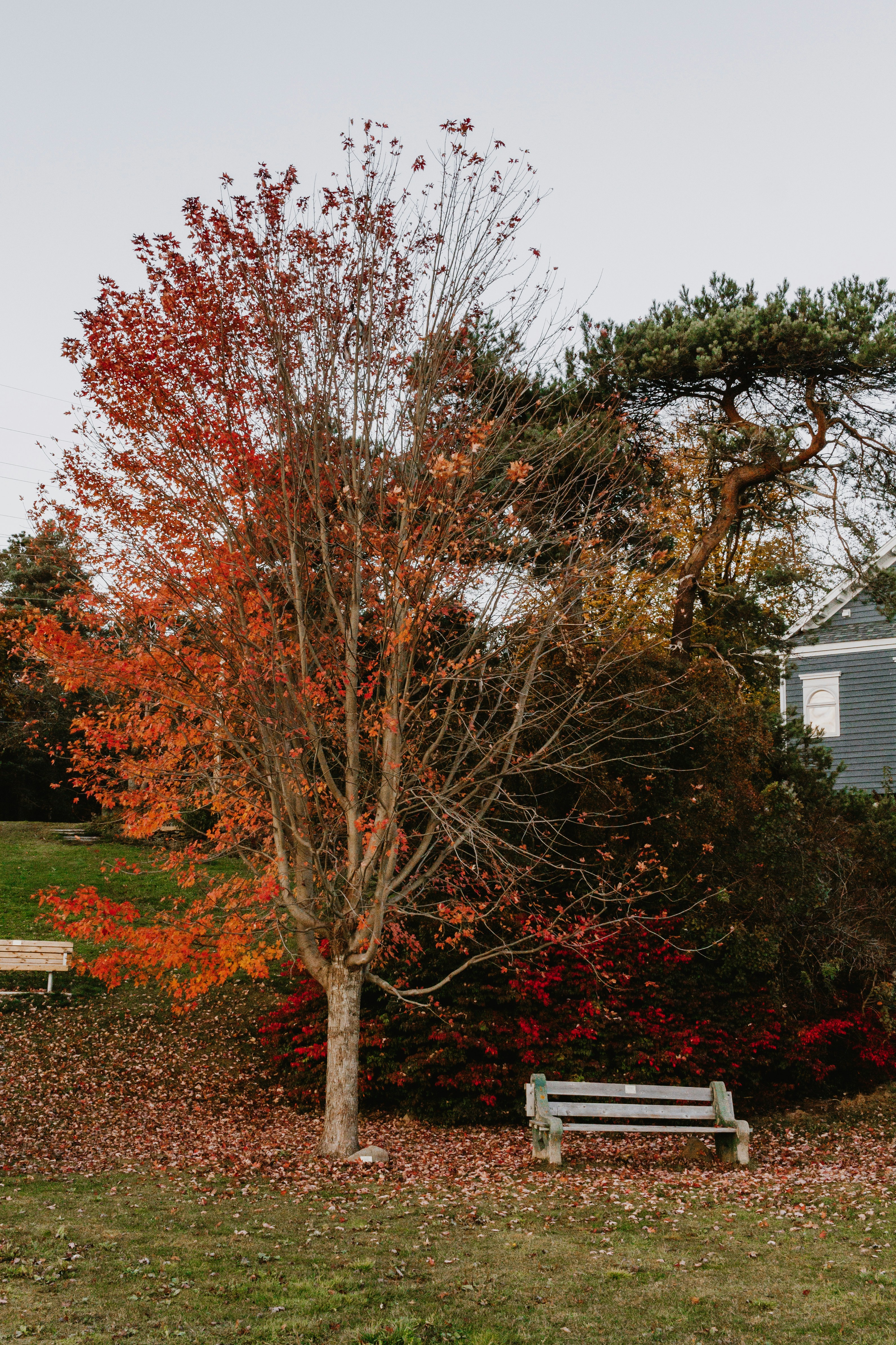 Photo by janwalterluigi