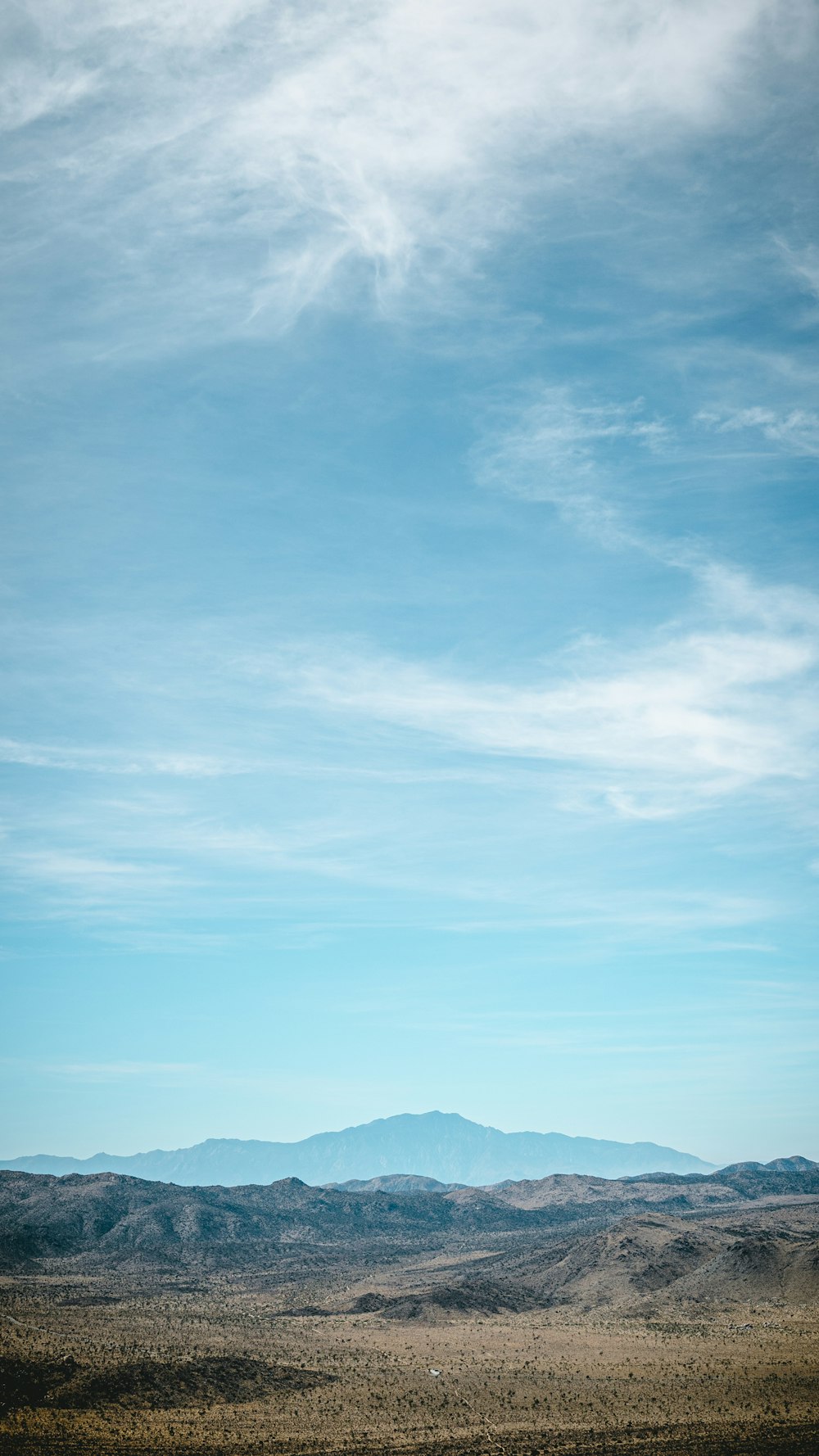 a lone horse standing in the middle of a desert