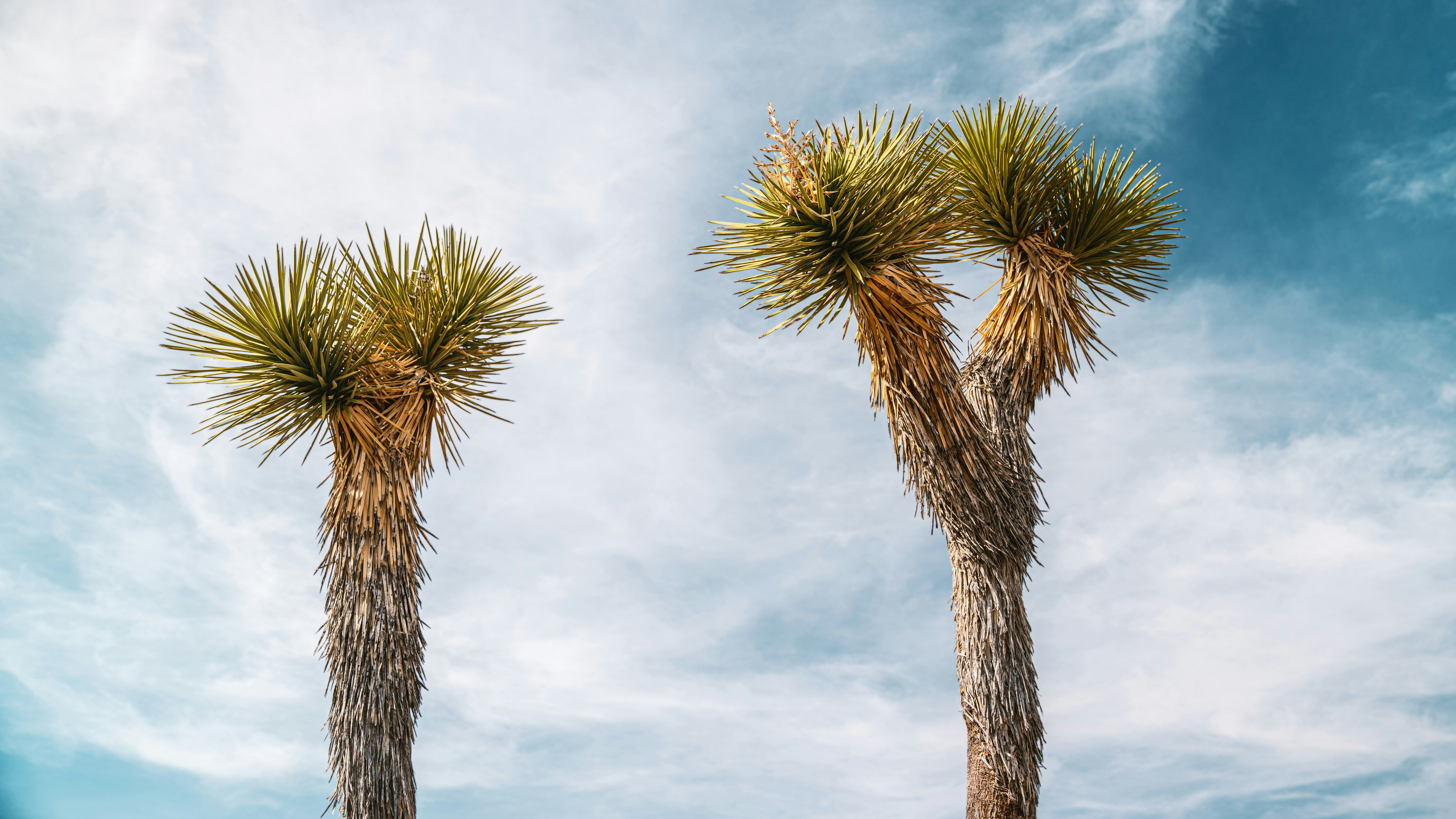 Photo by joshmccausland