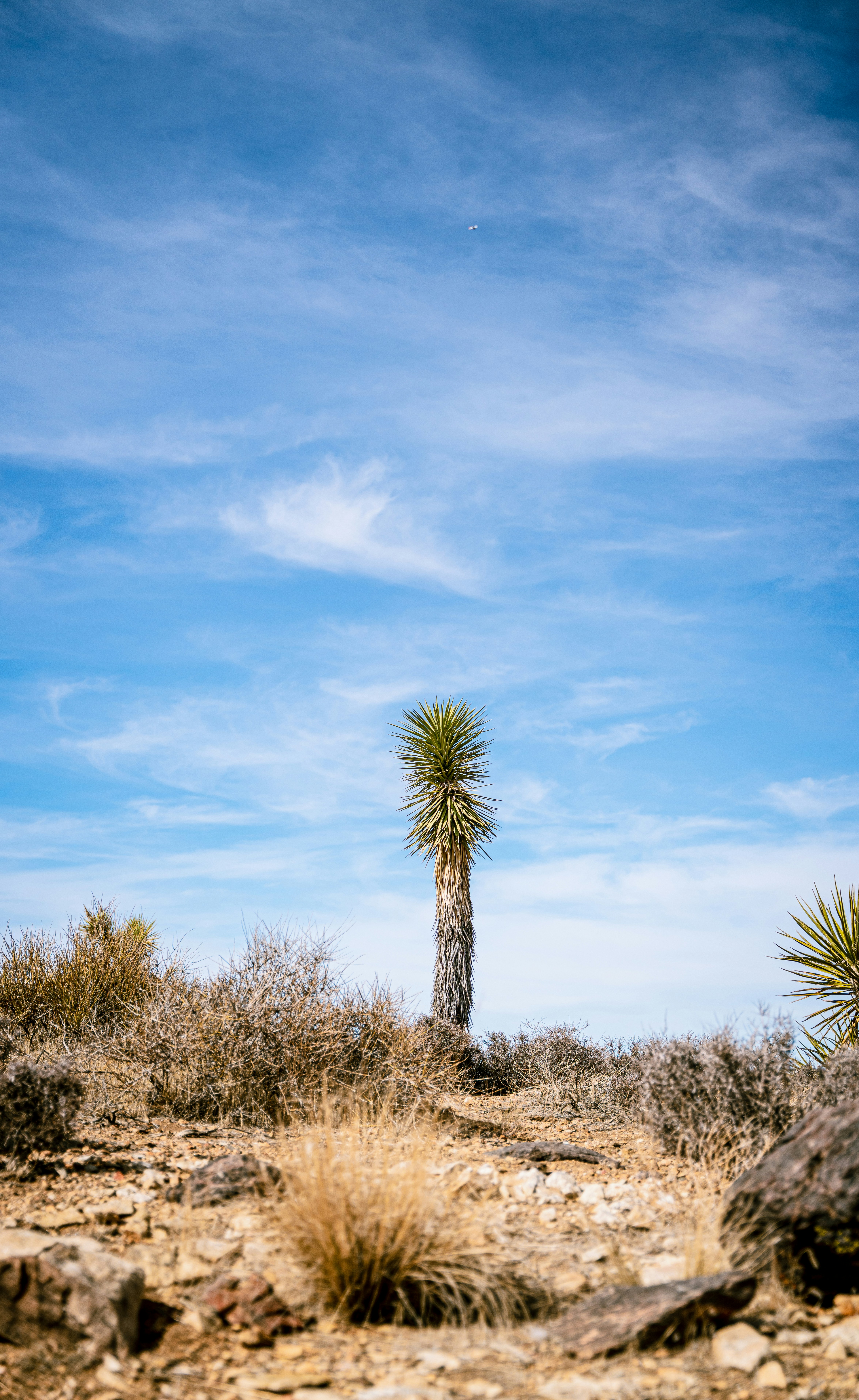 Photo by joshmccausland