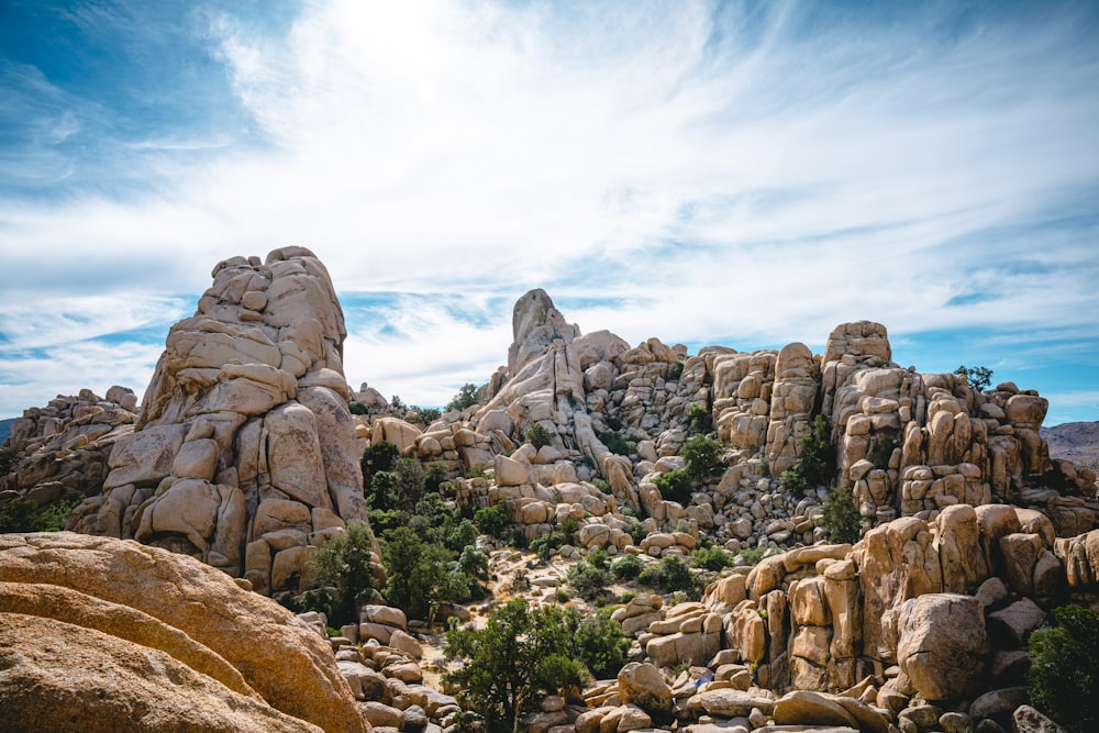 a rocky landscape with trees and rocks under a blue sky