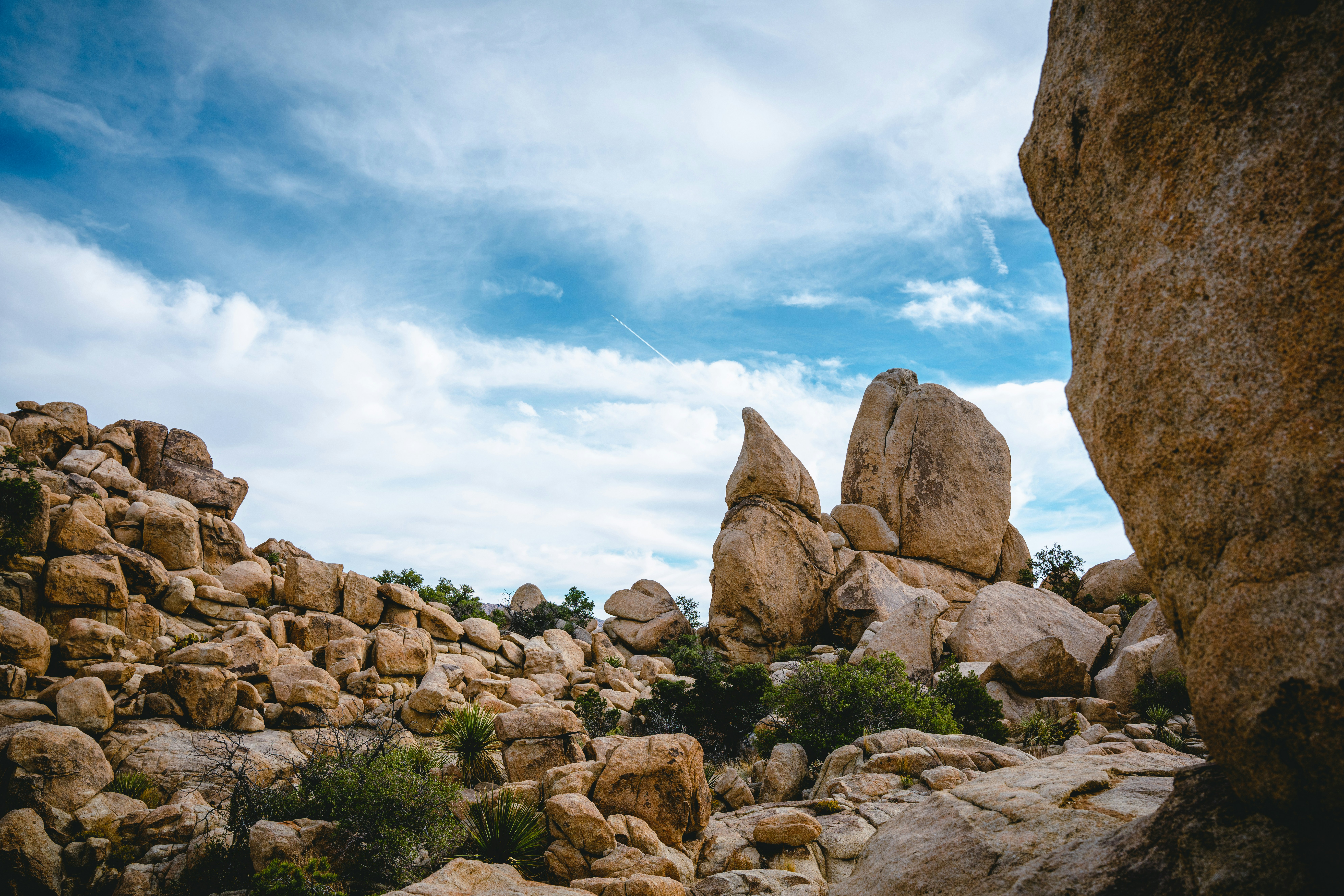 Photo by joshmccausland