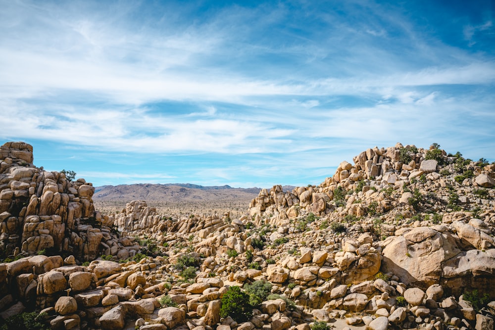 a rocky landscape with a mountain in the background