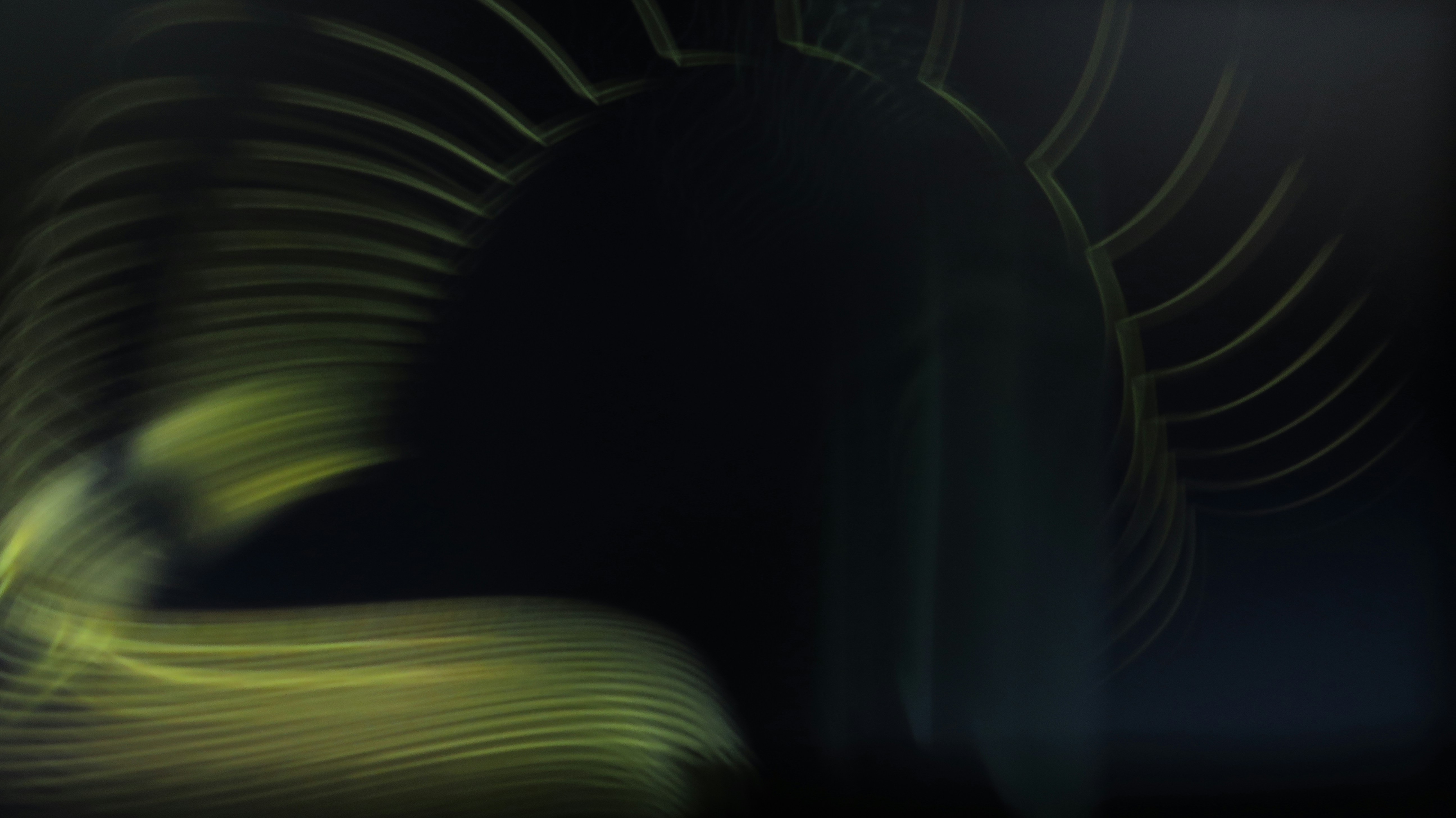 Photo by krakatoa333