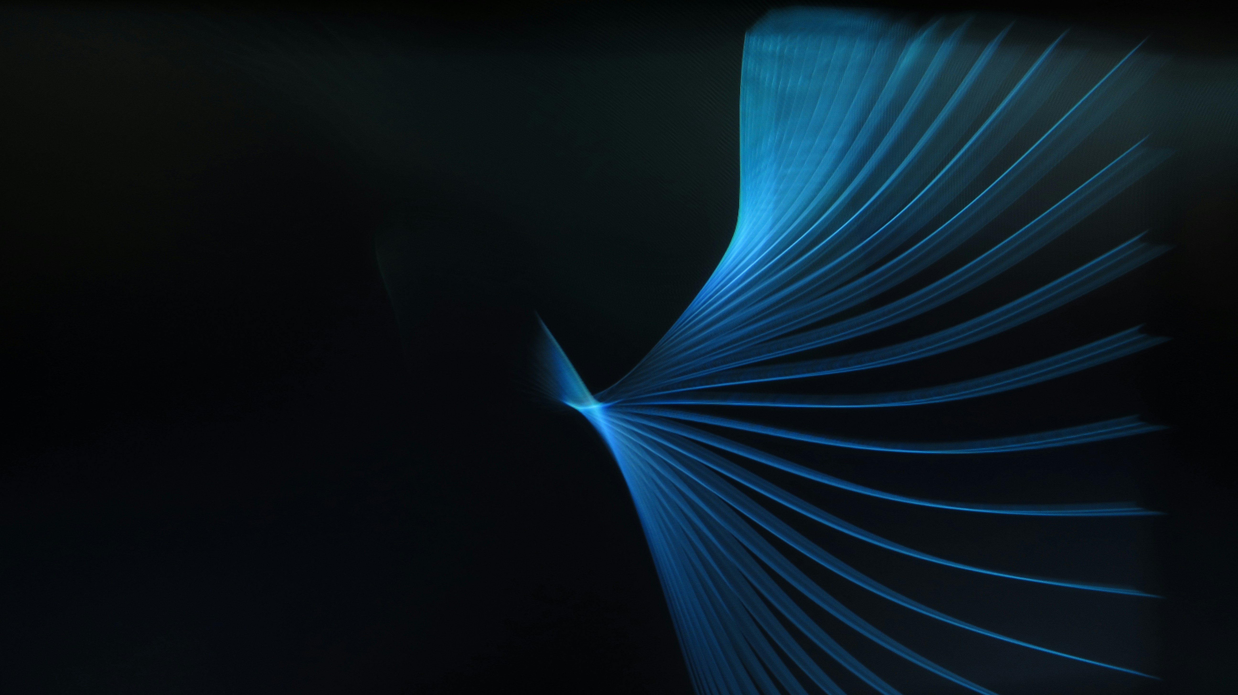 Photo by krakatoa333