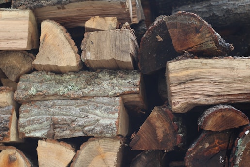A pile of chopped firewood with varying textures and shades, showing the natural grain and bark of the wood. Some pieces have remnants of moss or lichen.