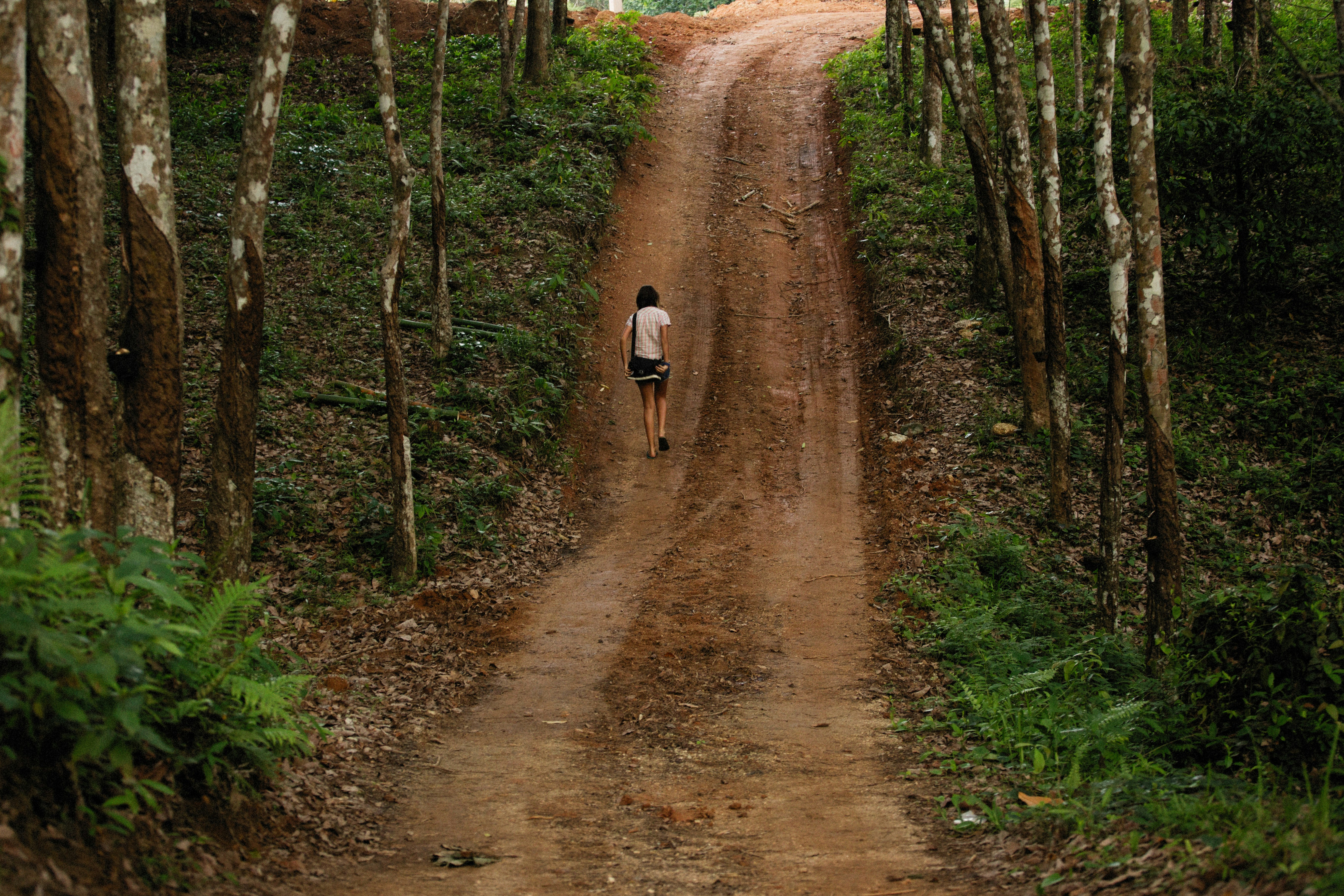 Photo by alexeydemidov