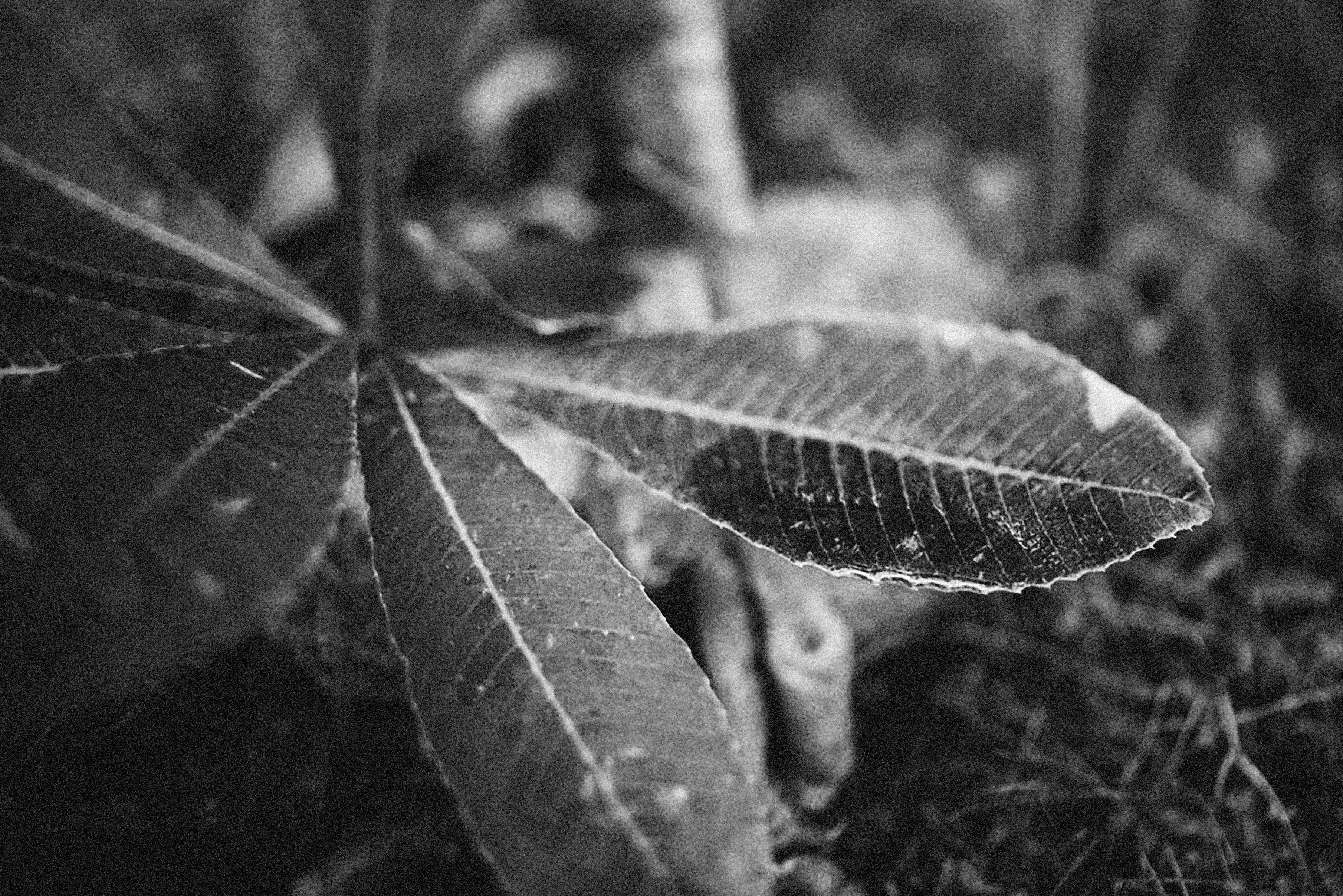 Photo by alexeydemidov