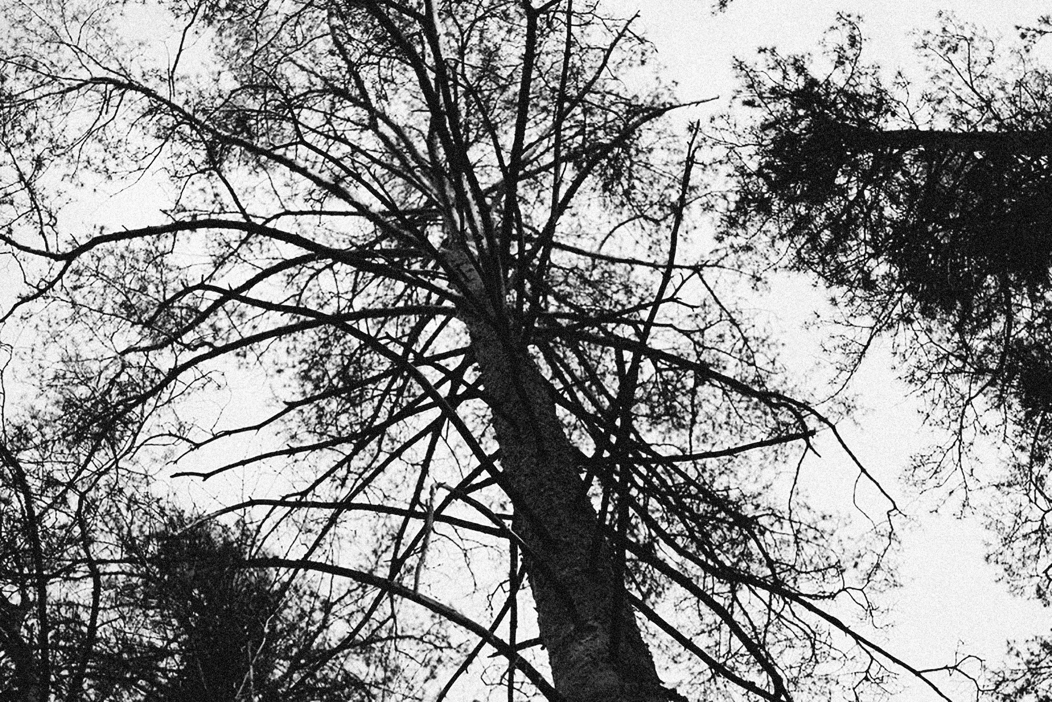 Photo by alexeydemidov