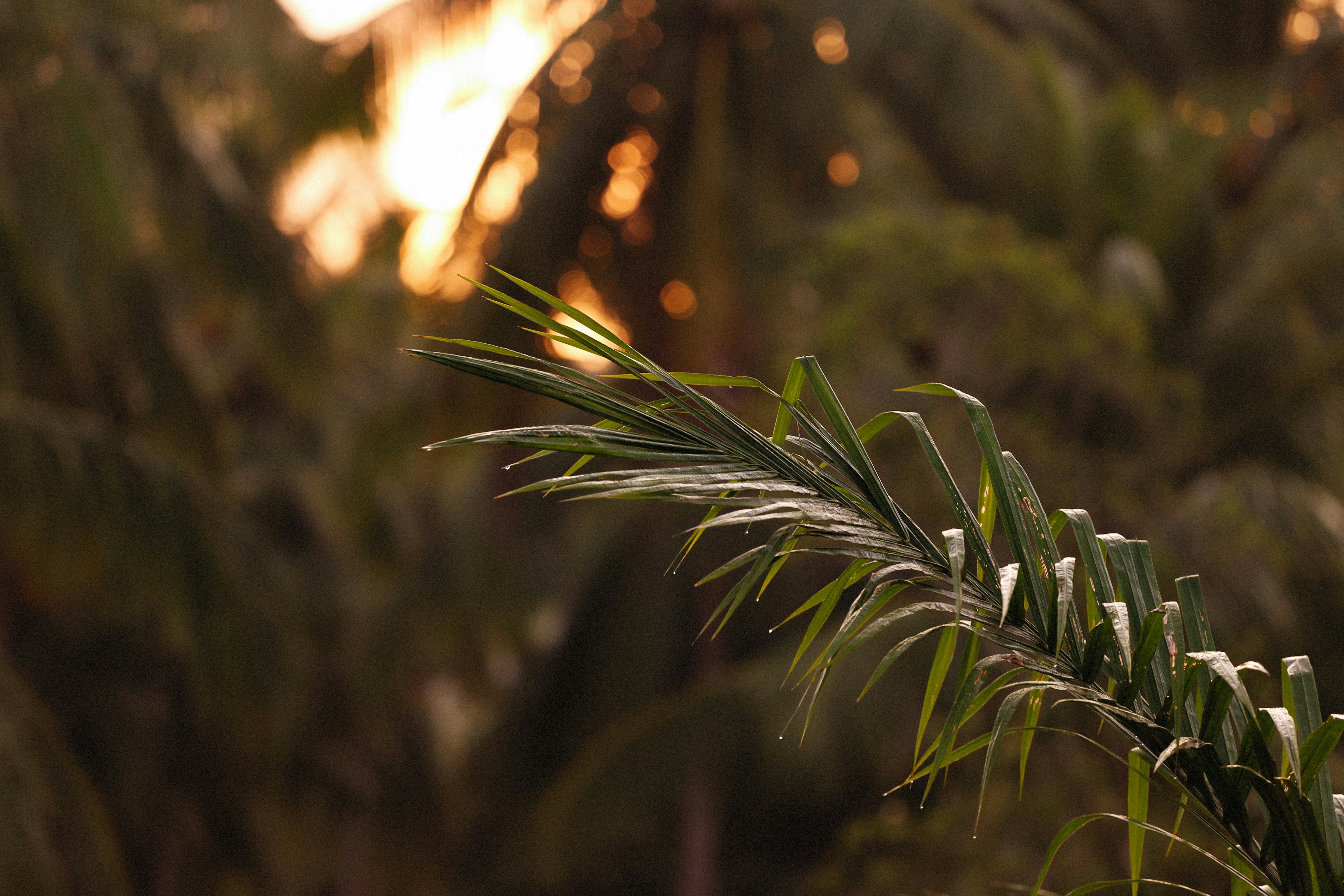 Photo by alexeydemidov