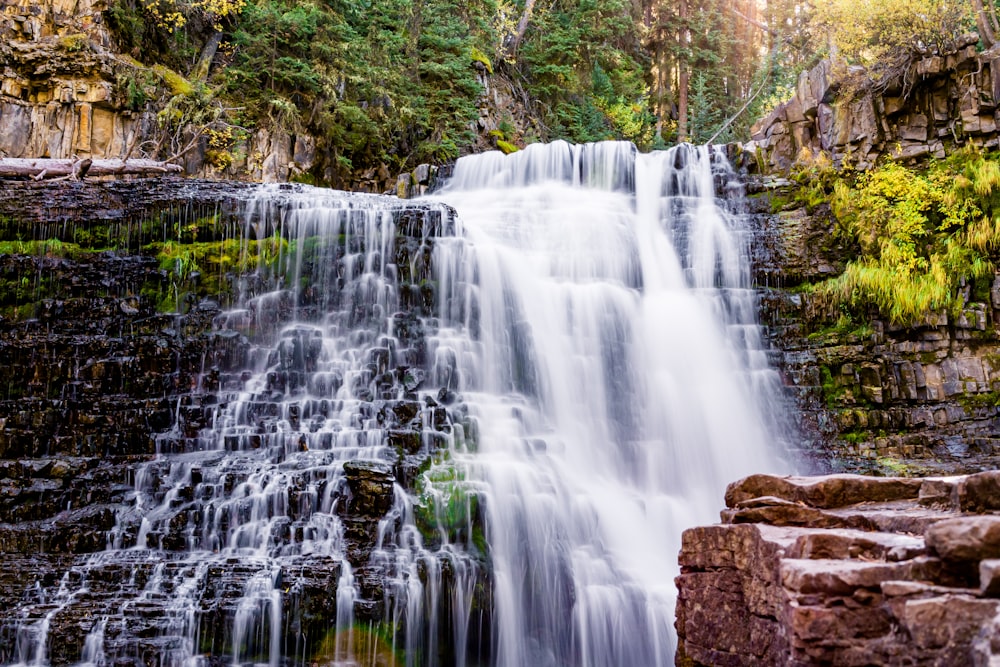 a waterfall in the middle of a forest