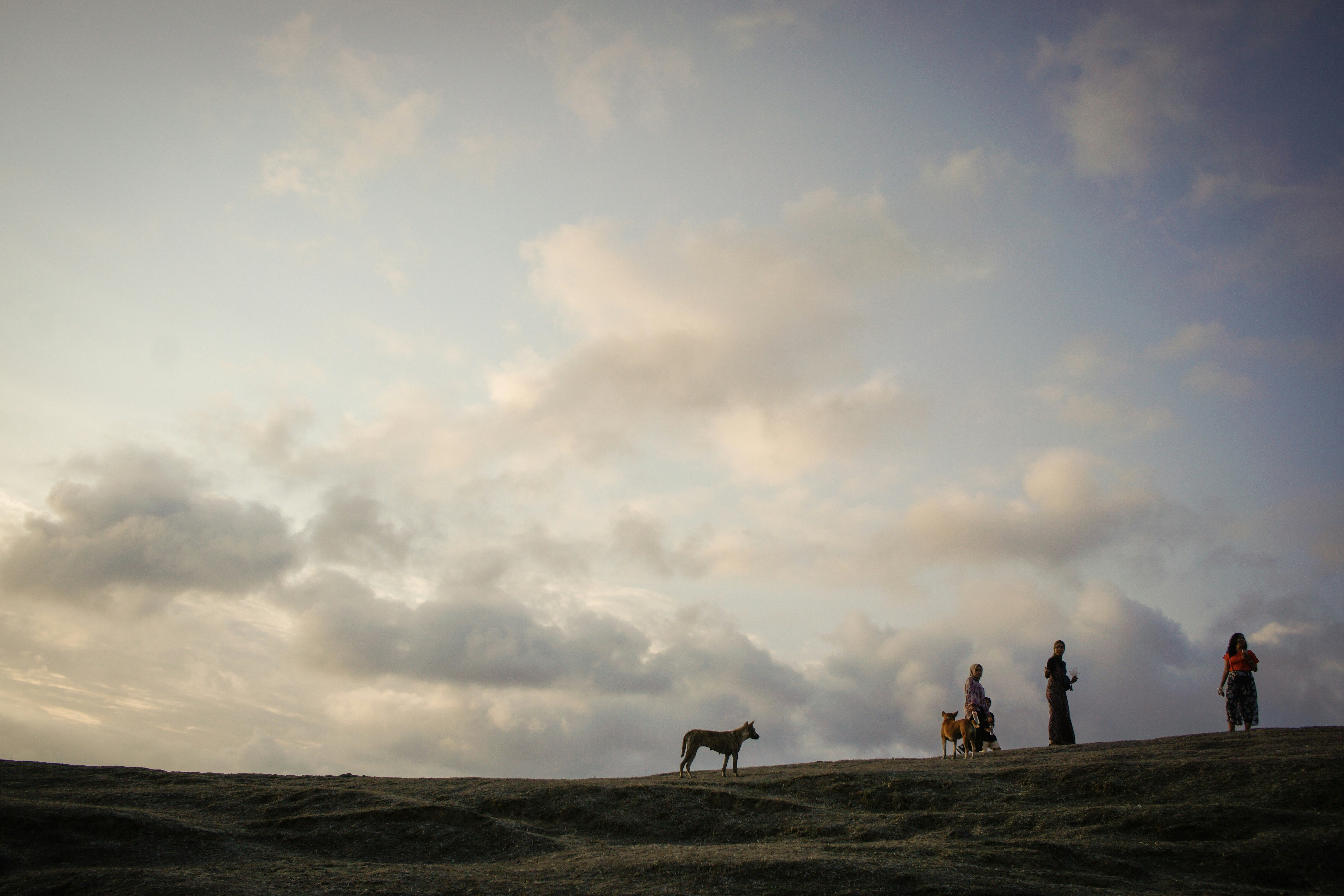 a group of people standing on top of a grass covered hill