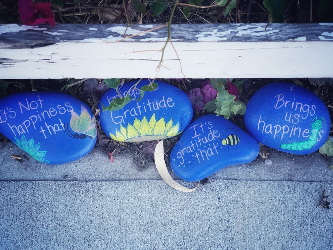 three painted rocks with words written on them